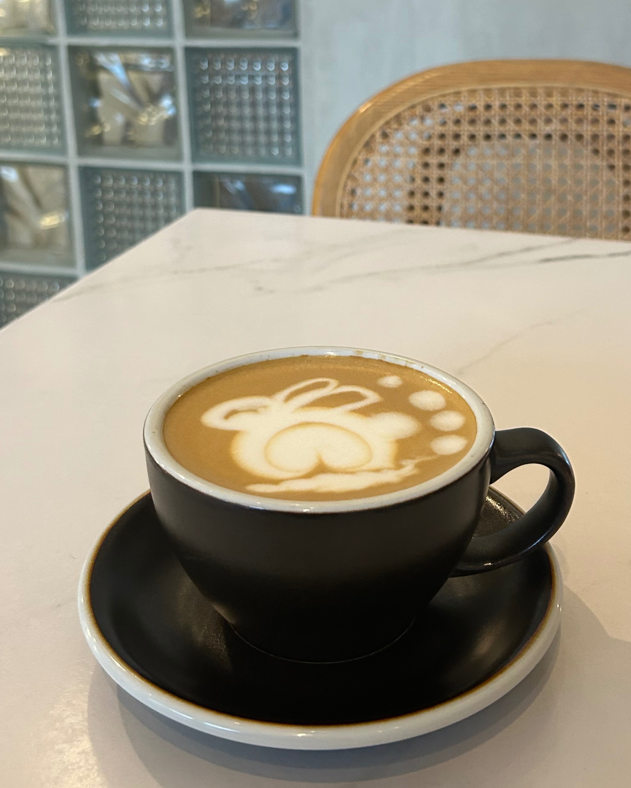 rayover_2026-04-03T07:49:32.692Z