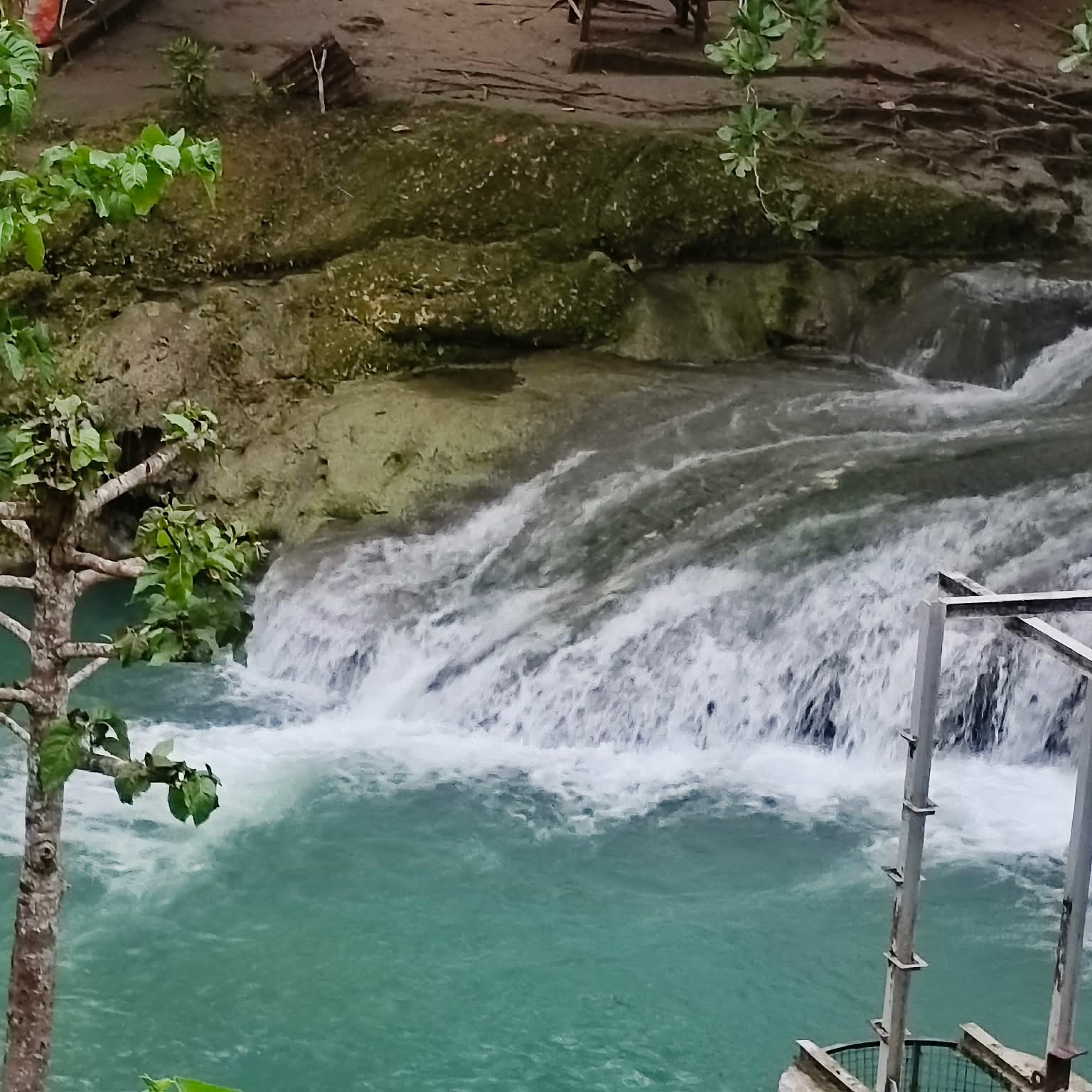 rayover_2026-04-04T08:04:36.868Z