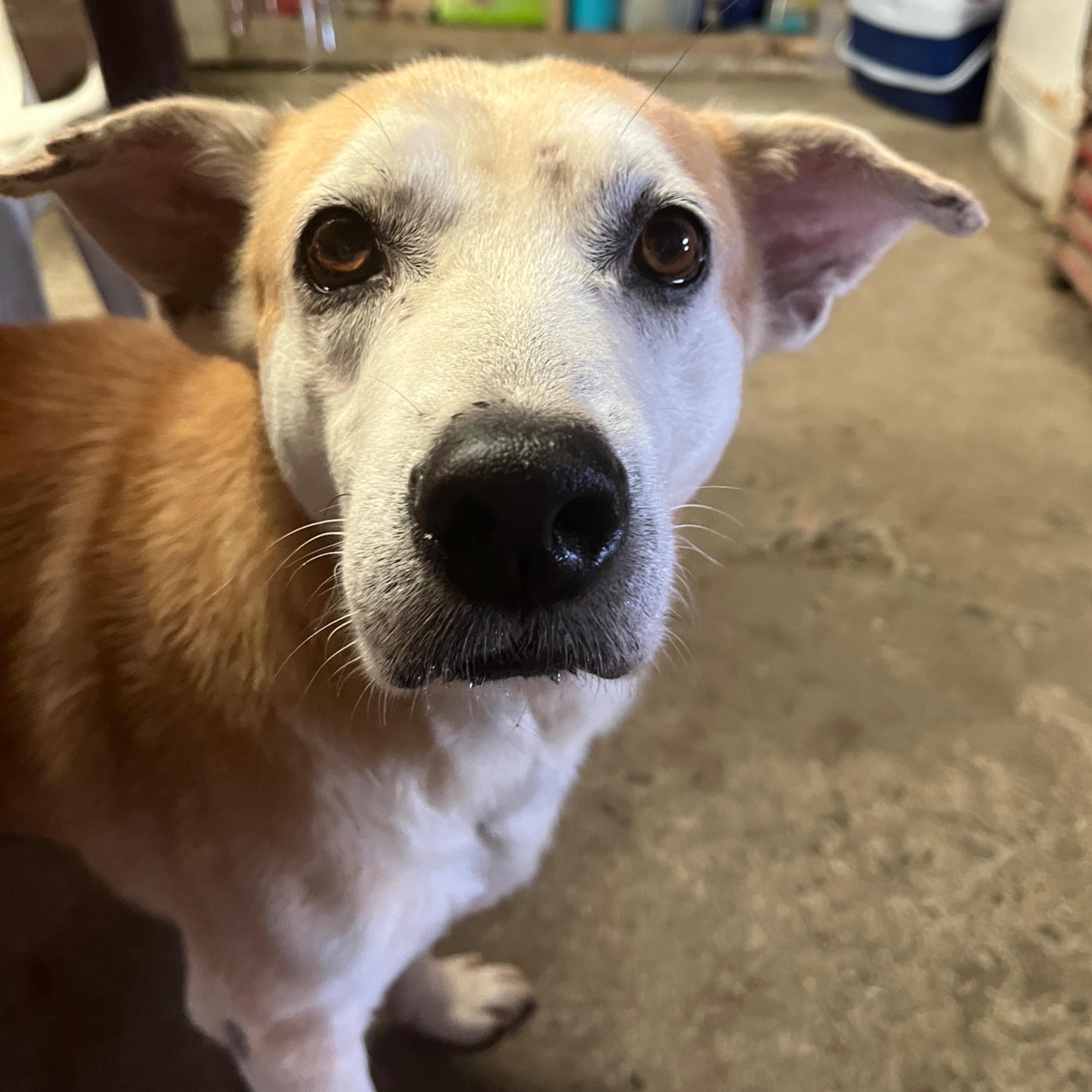 rayover_2026-04-04T09:57:36.645Z