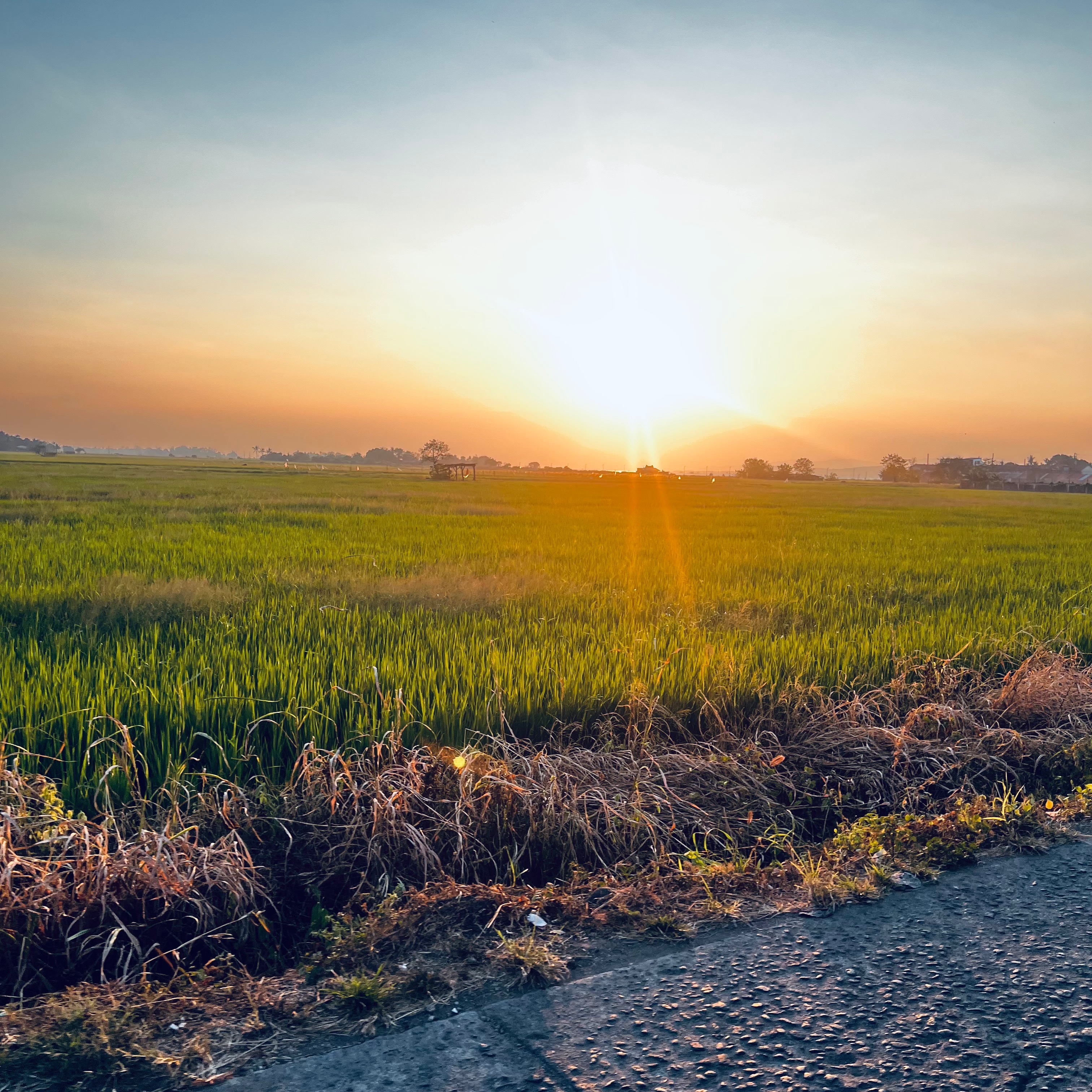 rayover_2026-04-05T13:04:06.865Z