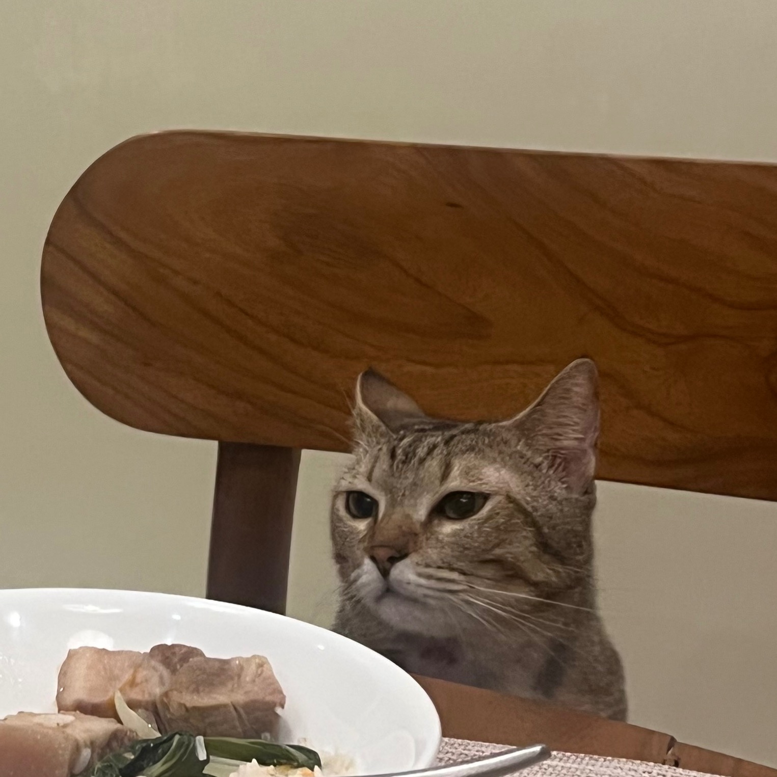 rayover_2026-04-05T23:42:00.547Z