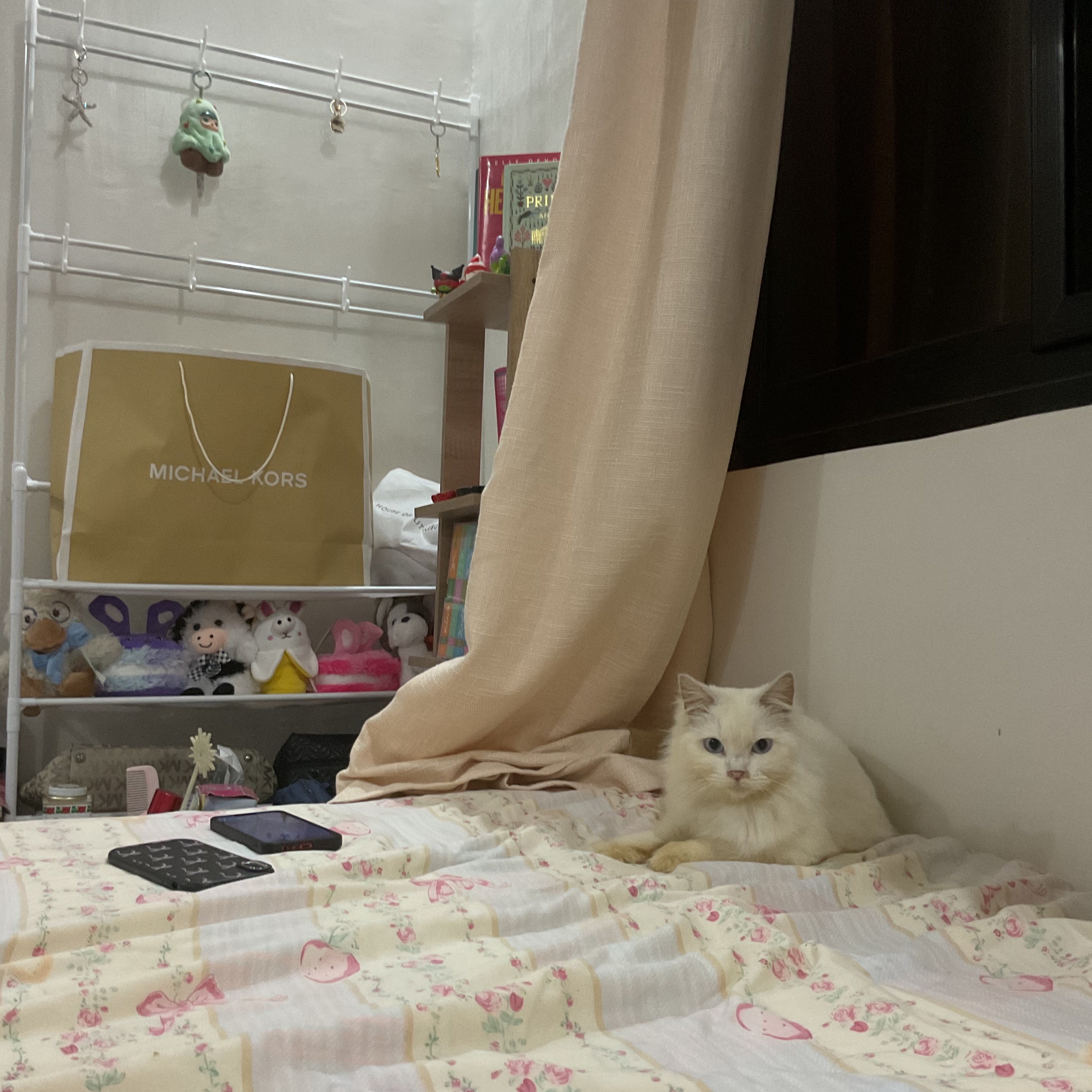 rayover_2026-04-06T15:40:14.118Z