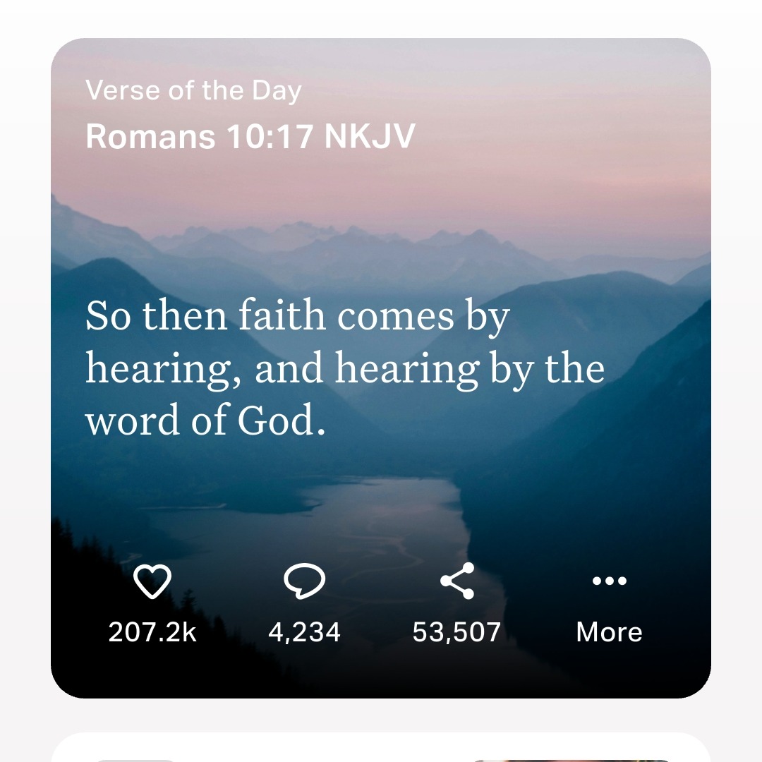 rayover_2026-04-08T04:43:05.434Z