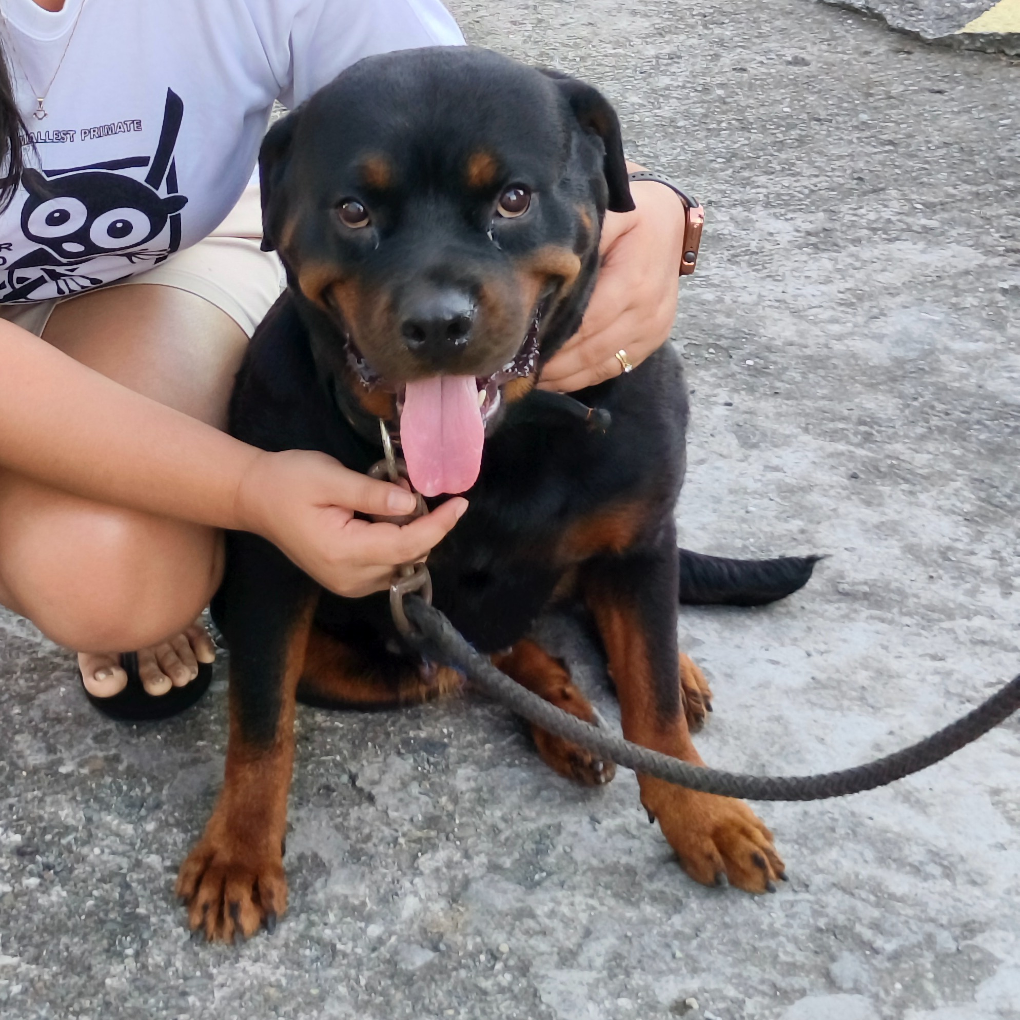 rayover_2026-04-09T09:58:01.909Z