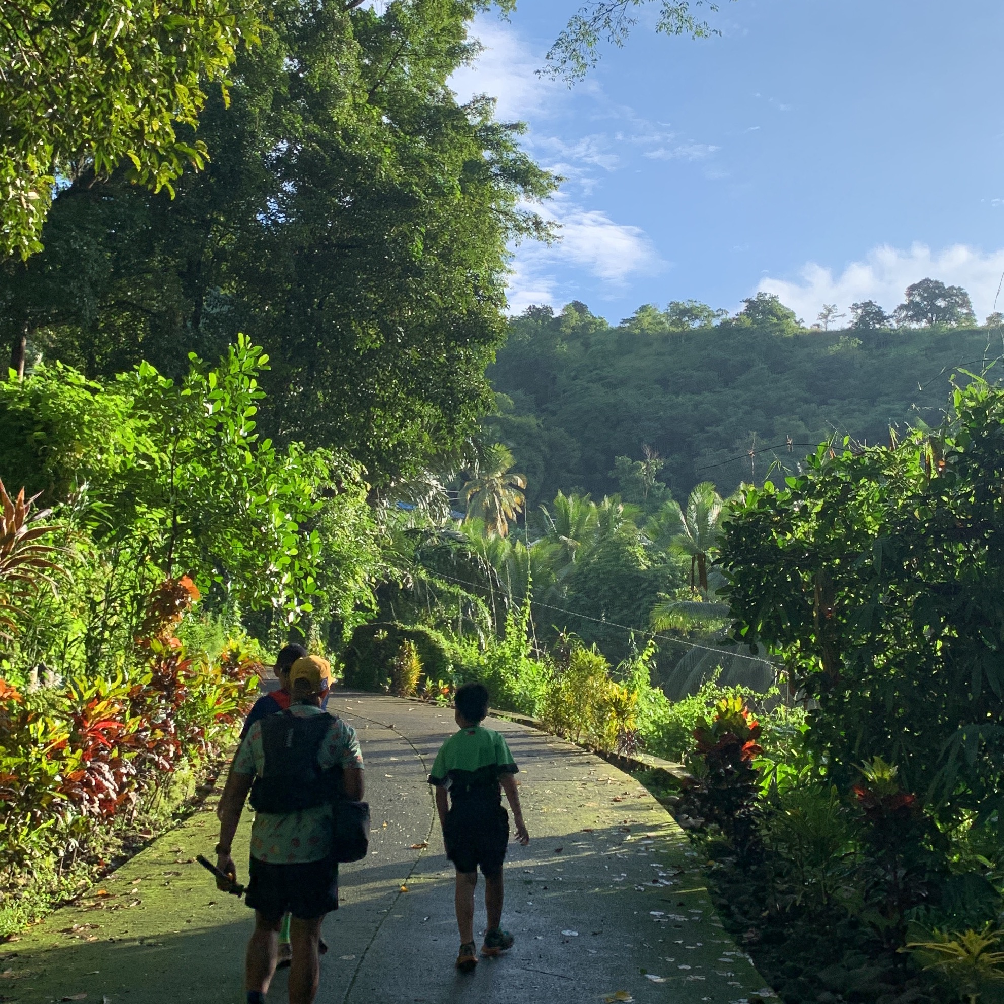 rayover_2026-04-09T14:35:51.760Z