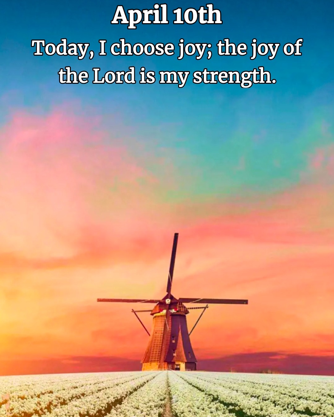 rayover_2026-04-10T04:29:42.607Z