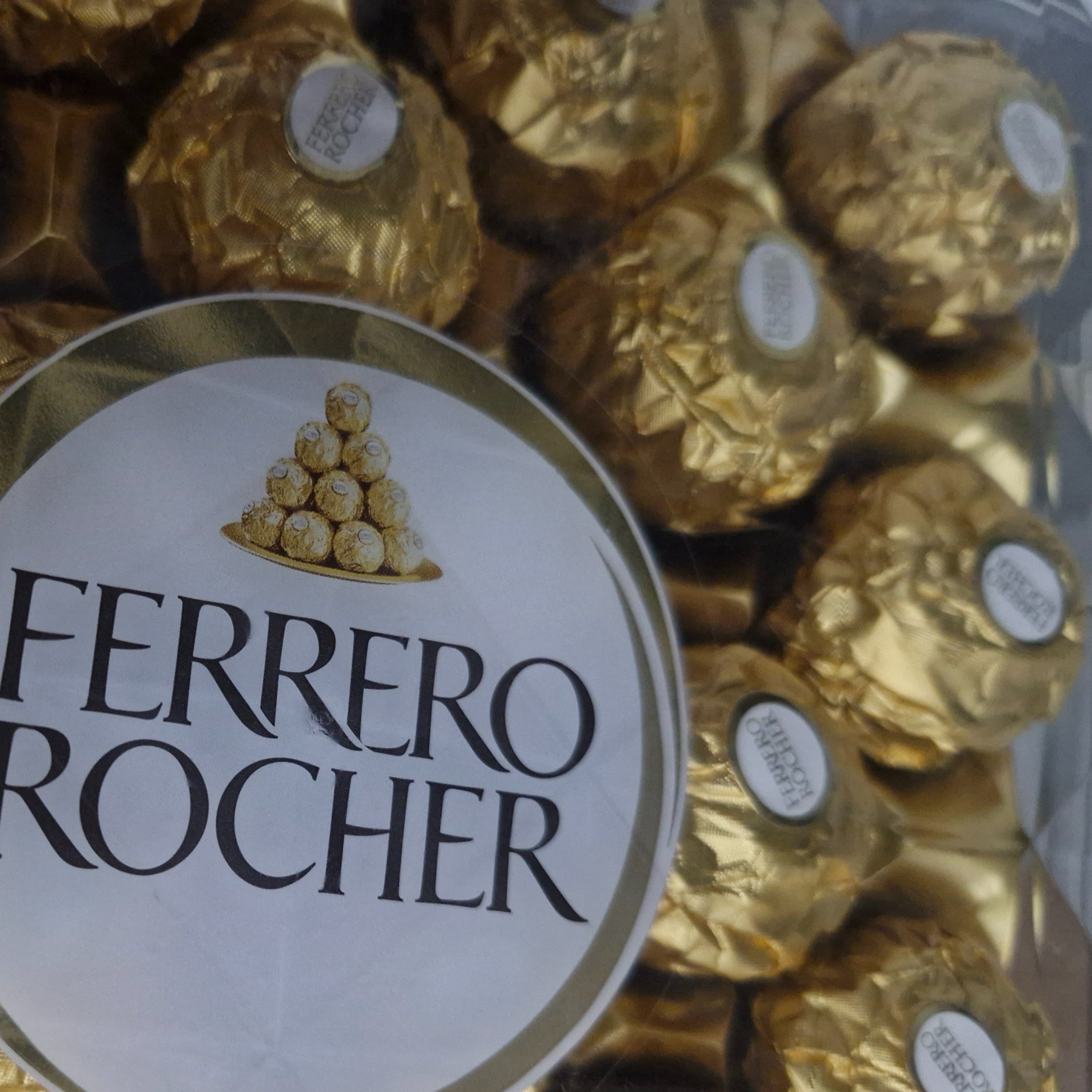 rayover_2026-04-11T05:48:58.924Z