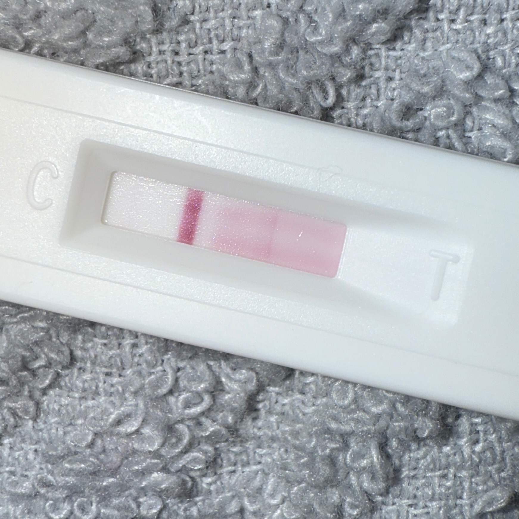 rayover_2026-04-16T04:29:31.782Z