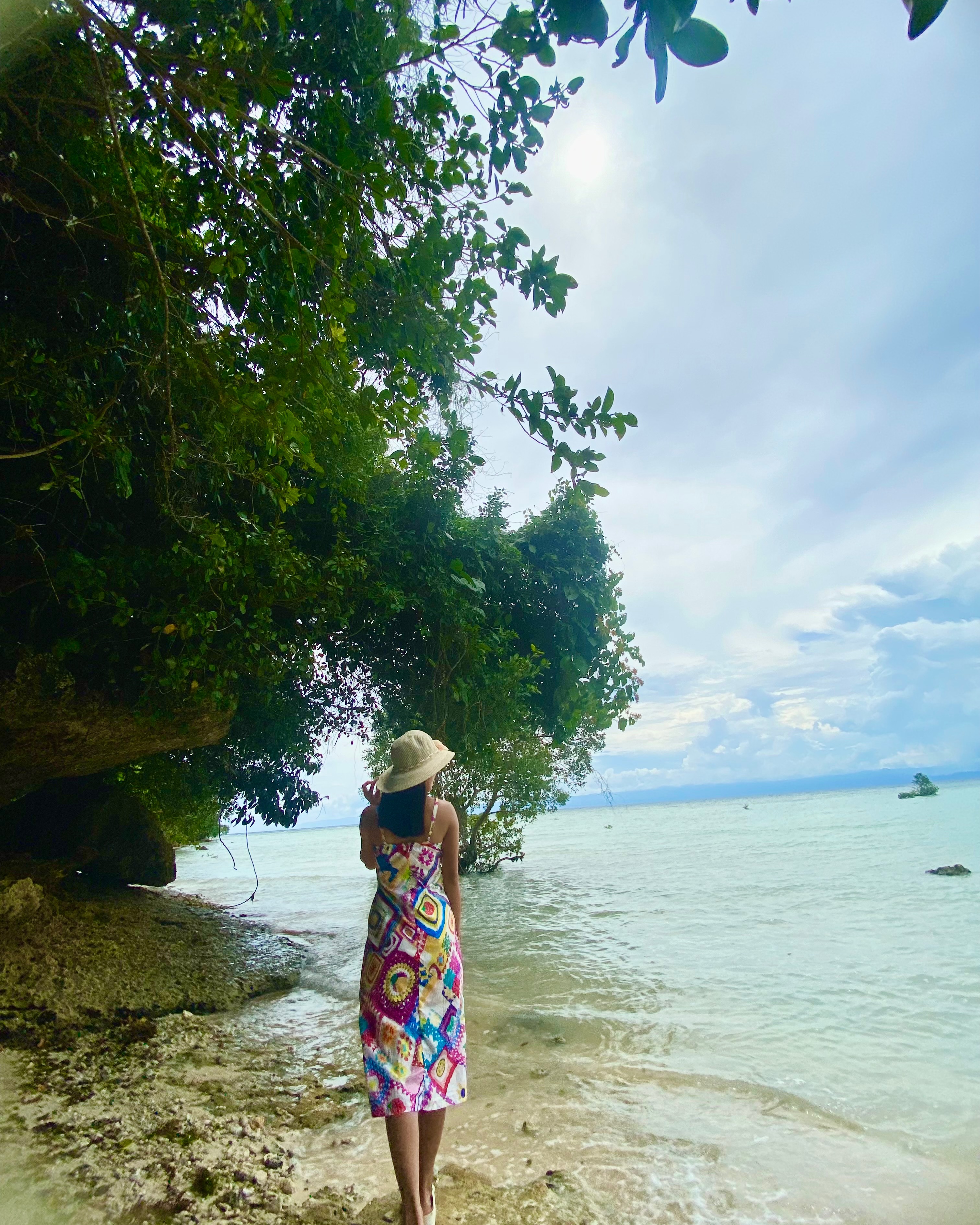 rayover_2026-04-17T00:45:21.033Z