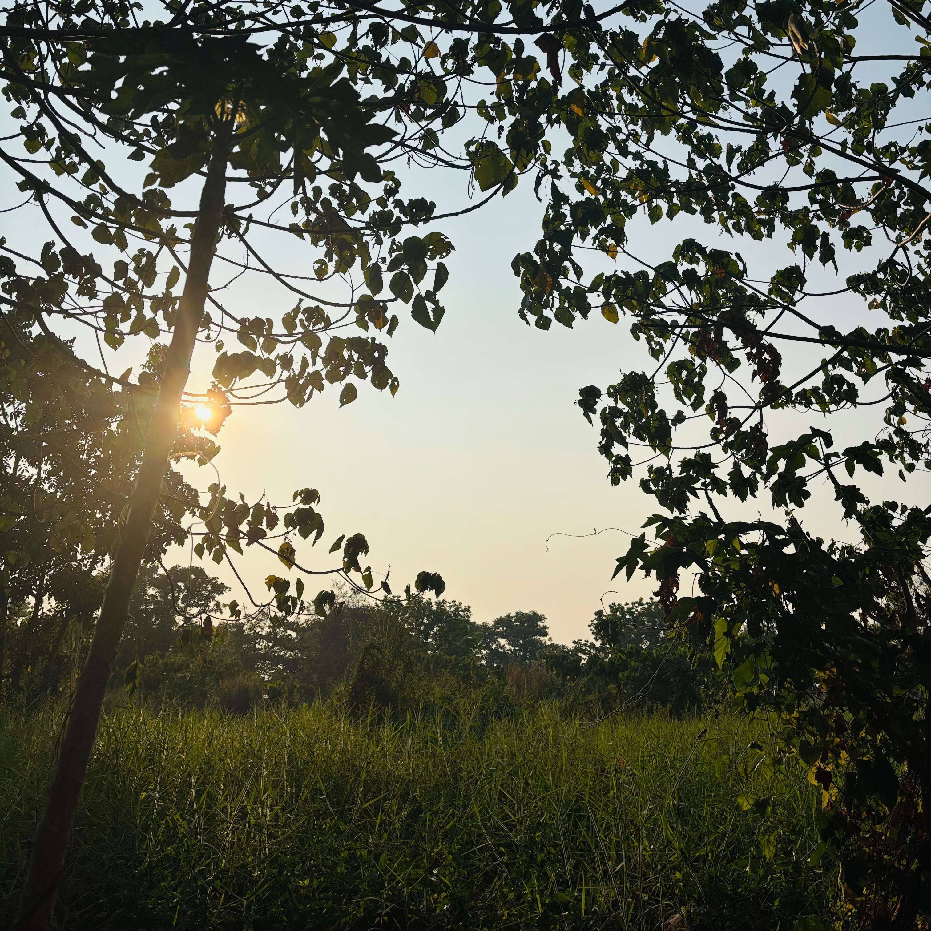 rayover_2026-04-18T02:25:34.689Z