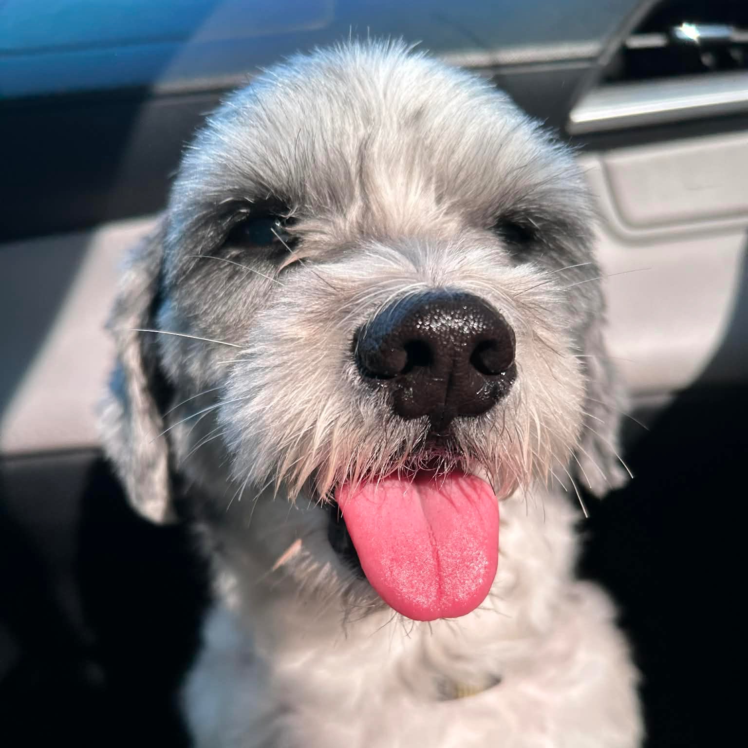 rayover_2026-04-18T11:27:13.453Z