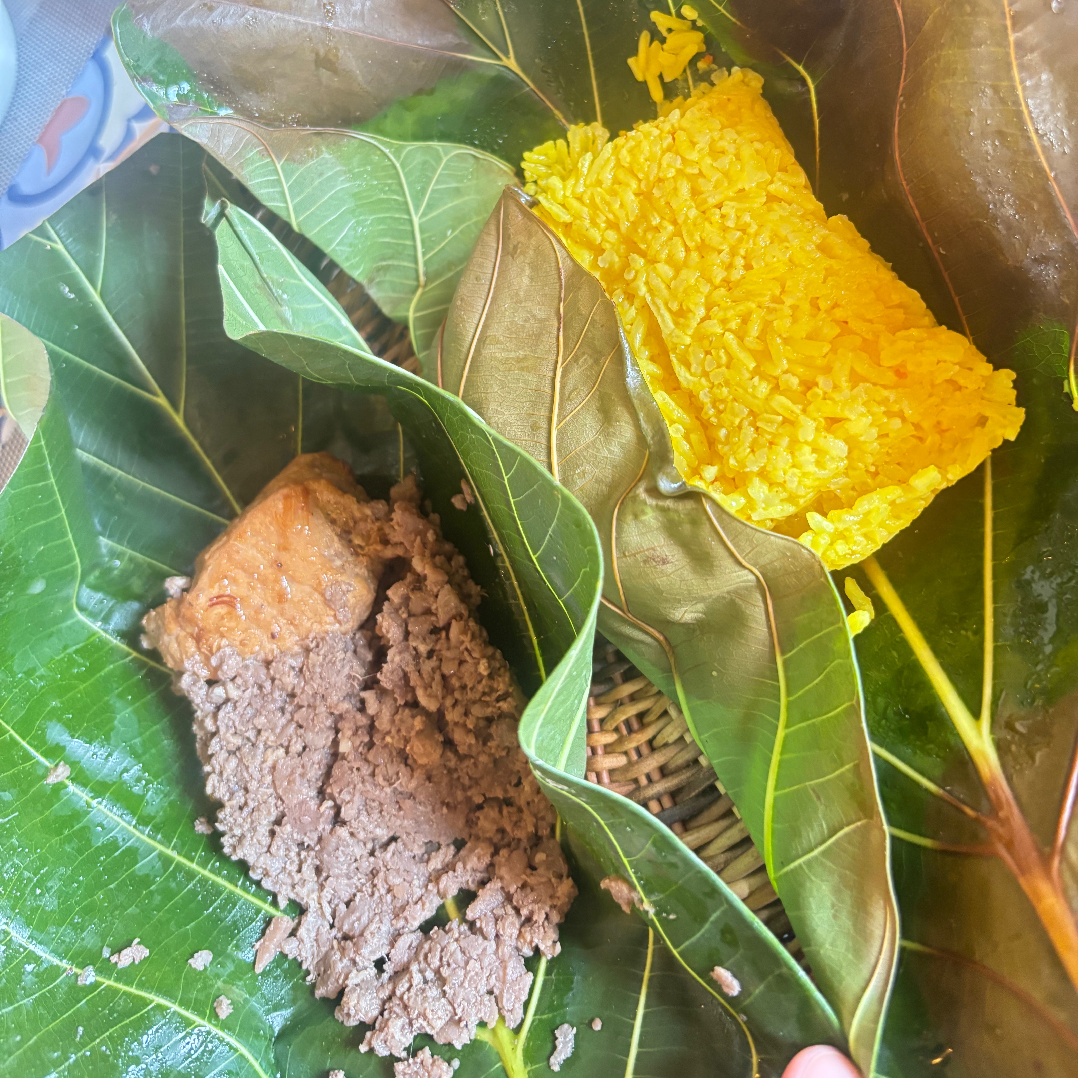 rayover_2026-04-19T05:28:44.098Z