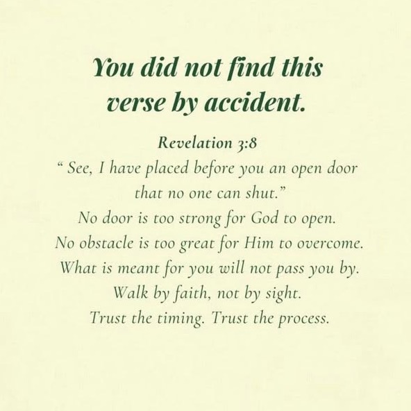 rayover_2026-04-20T04:47:46.919Z