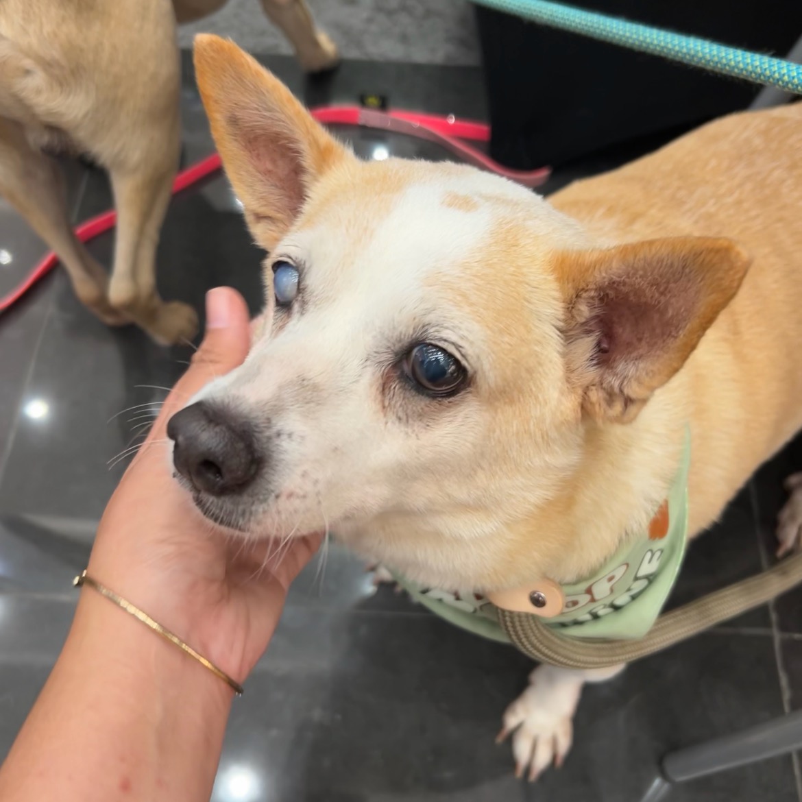 rayover_2026-04-20T05:06:49.173Z