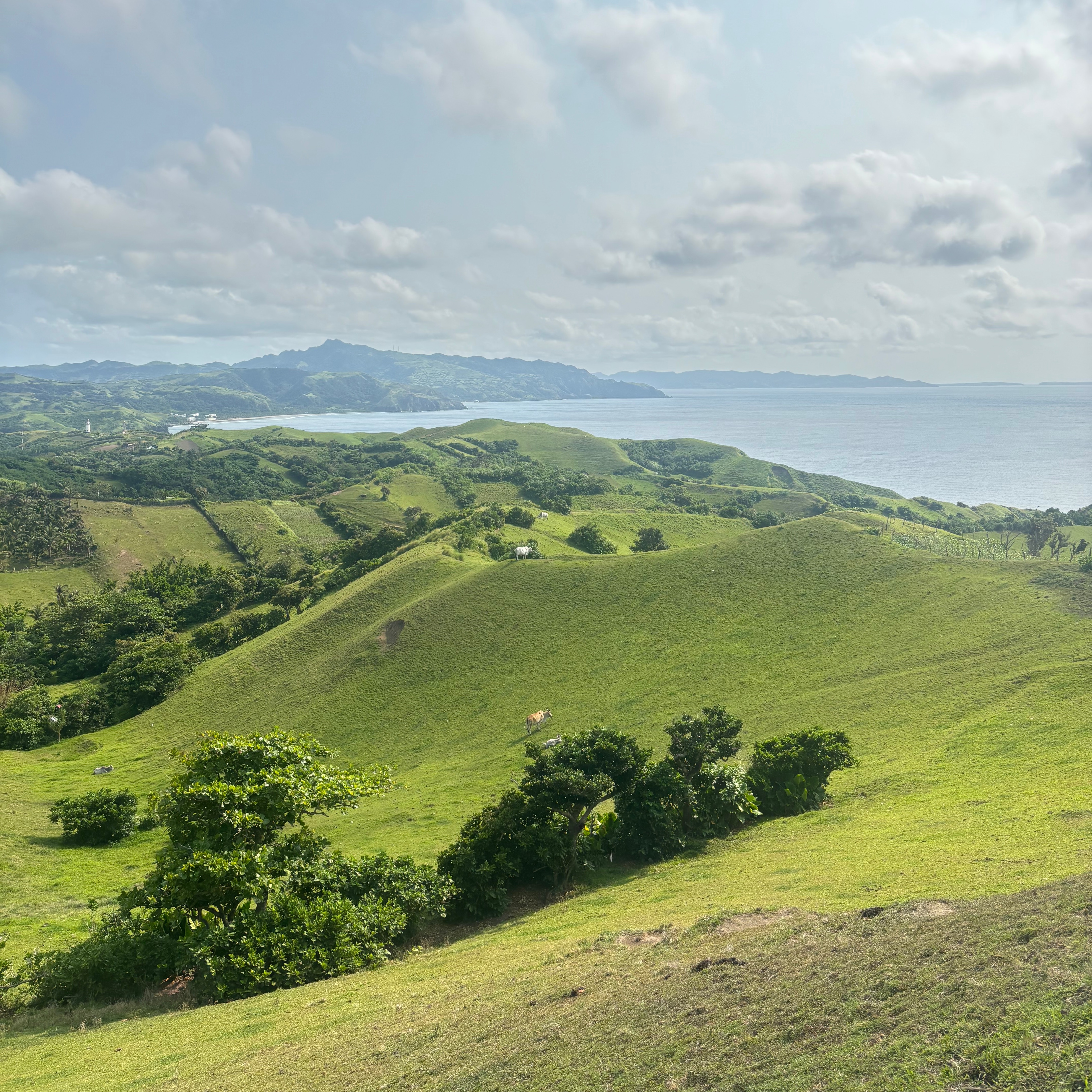 rayover_2026-04-20T08:57:49.435Z