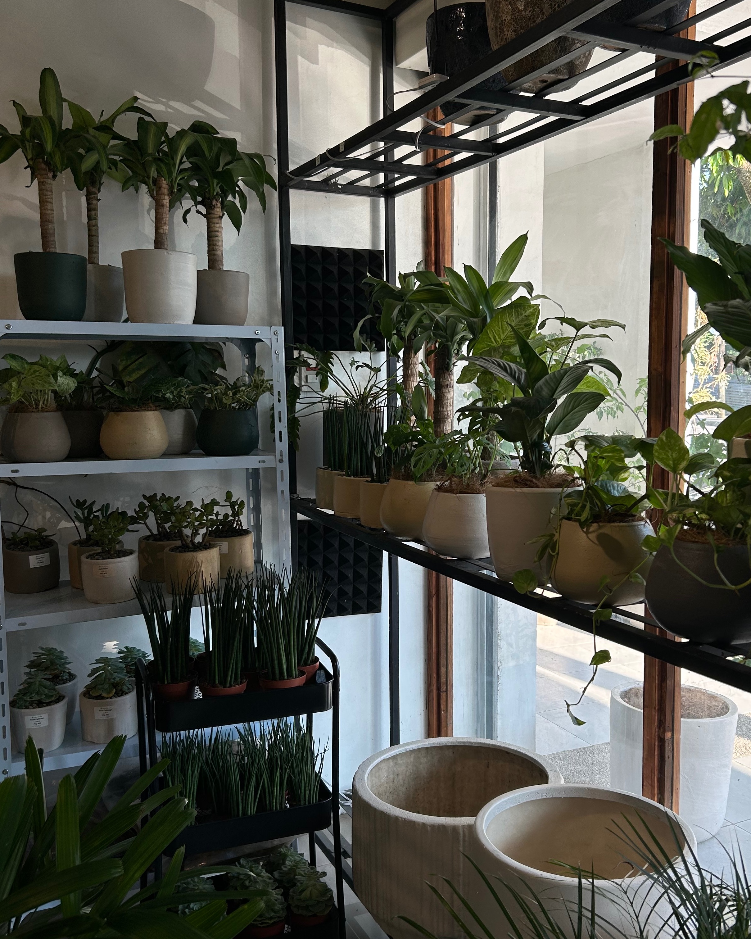 rayover_2026-04-20T10:13:05.559Z