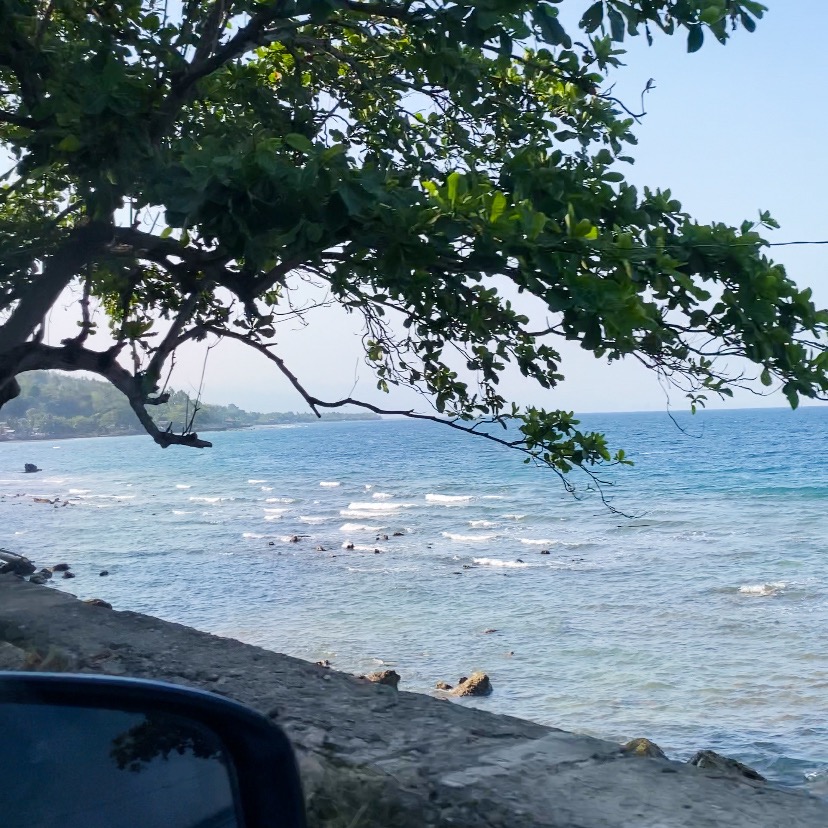 rayover_2026-04-23T01:03:22.015Z