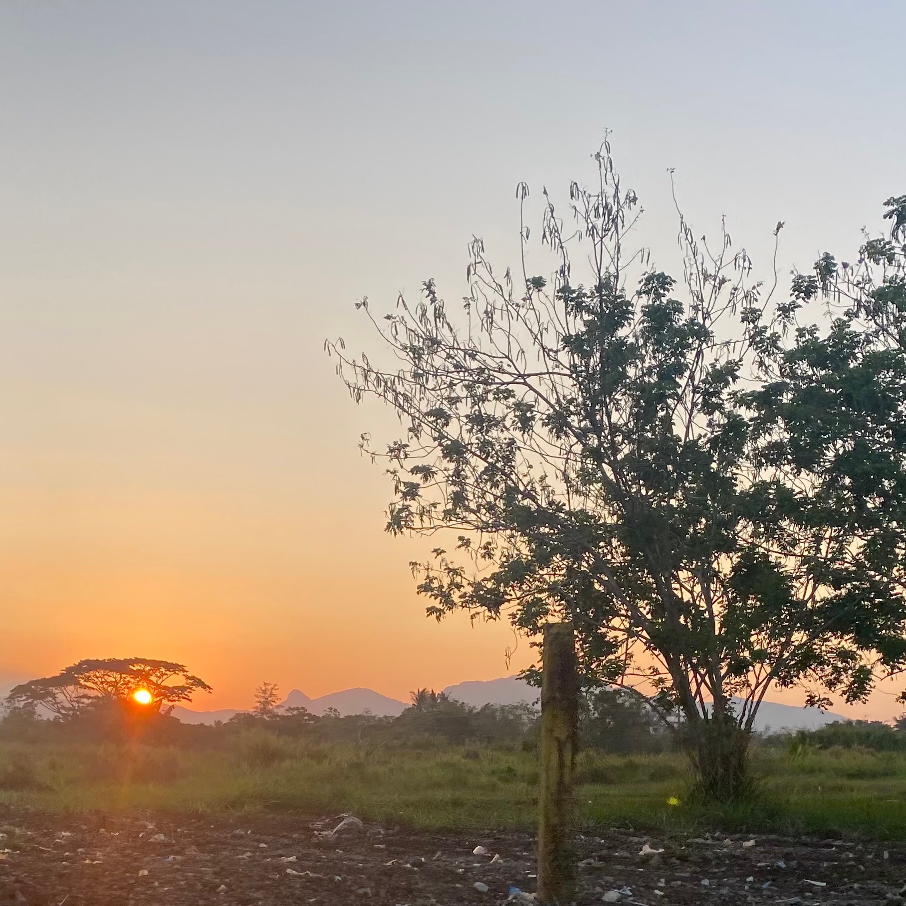 rayover_2026-04-26T06:28:54.041Z