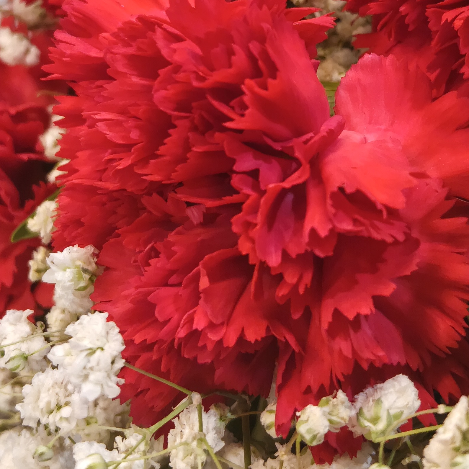 rayover_2026-04-27T14:43:31.615Z