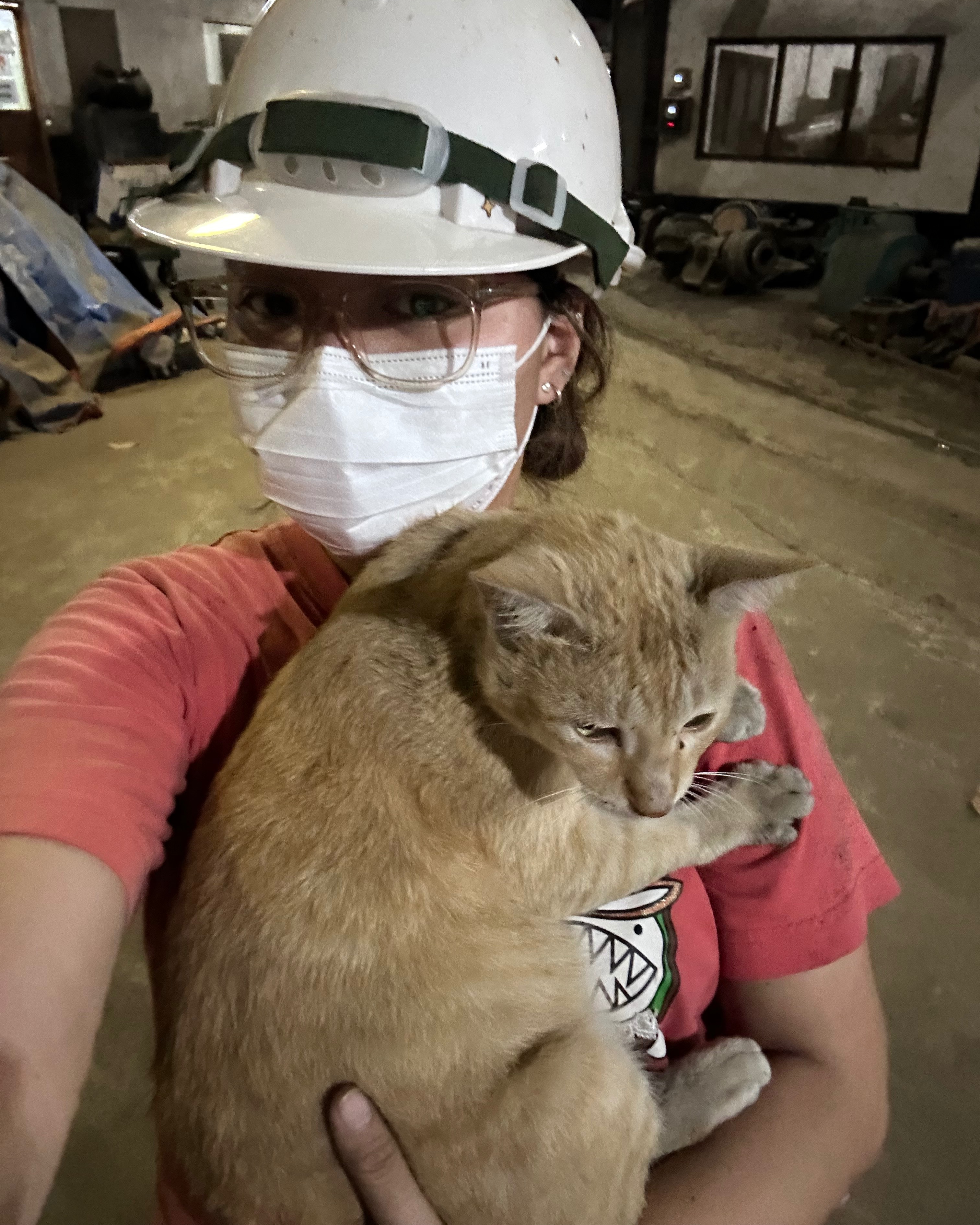 rayover_2026-04-29T05:04:41.783Z