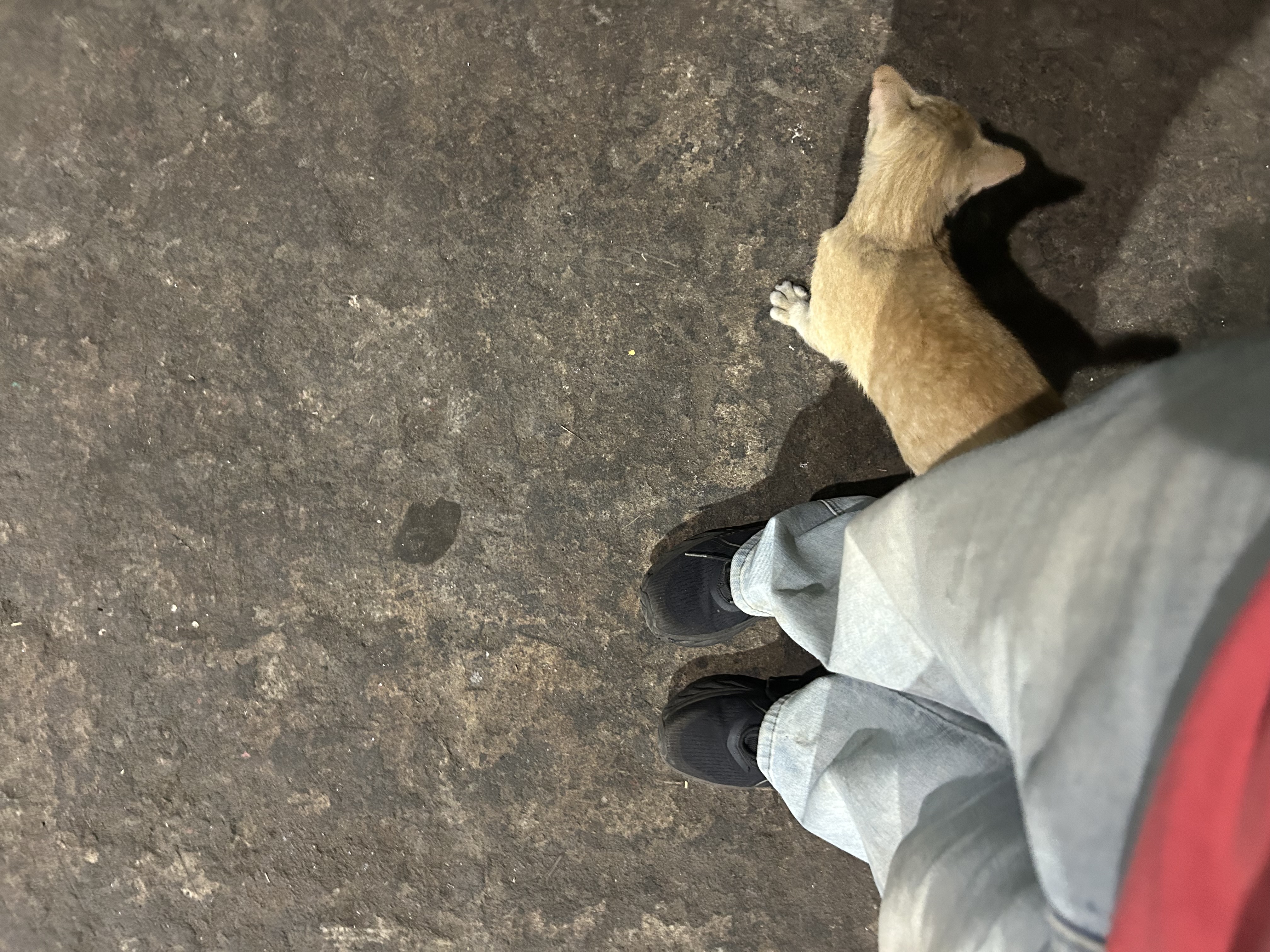 IMG_3605.jpeg