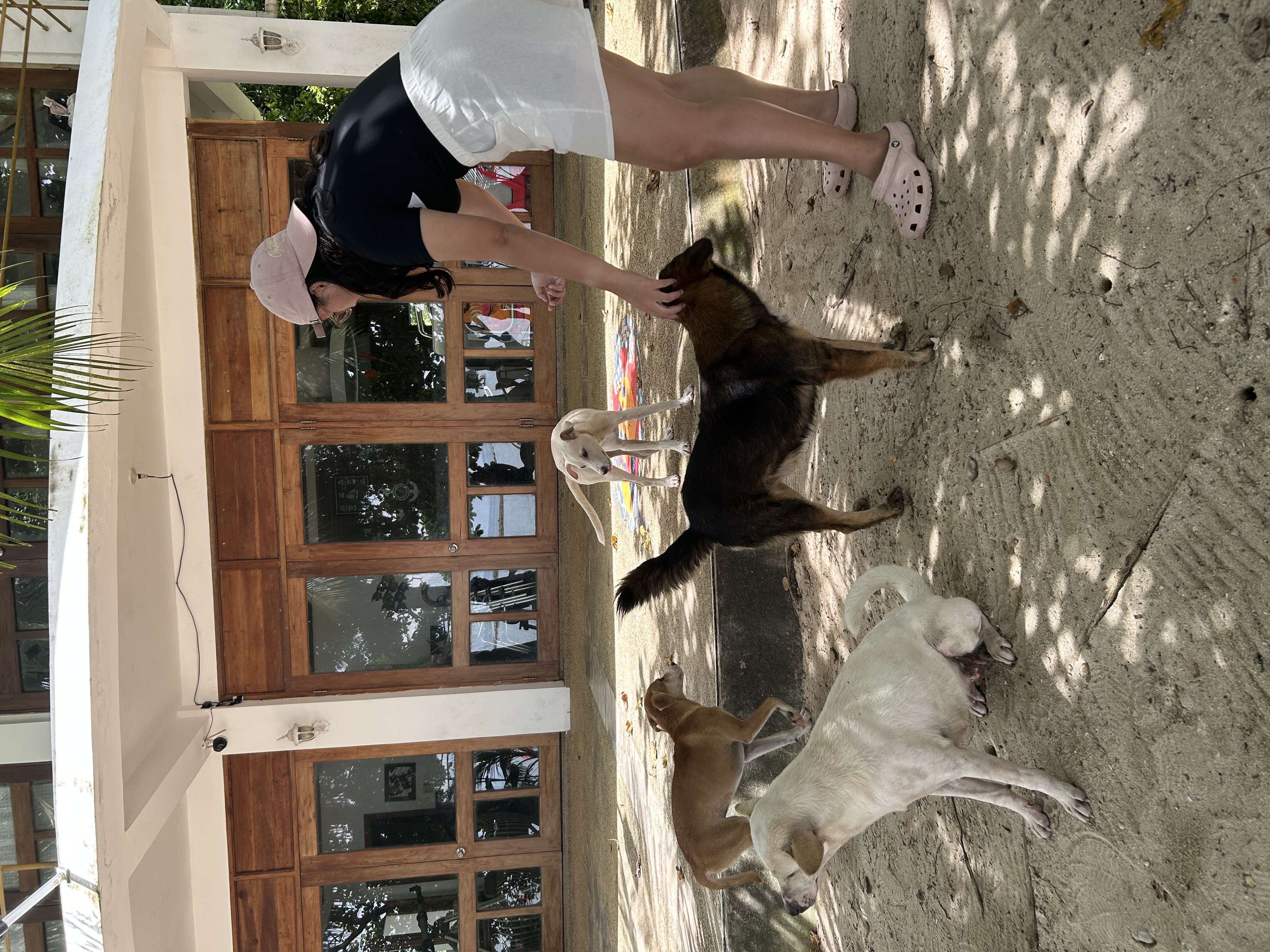 IMG_1975.jpeg