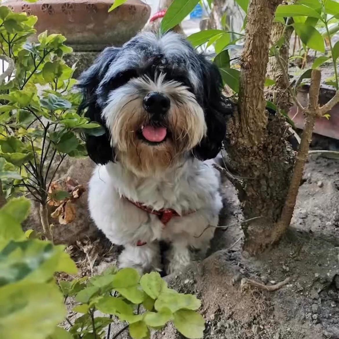 rayover_2026-04-30T00:51:23.137Z