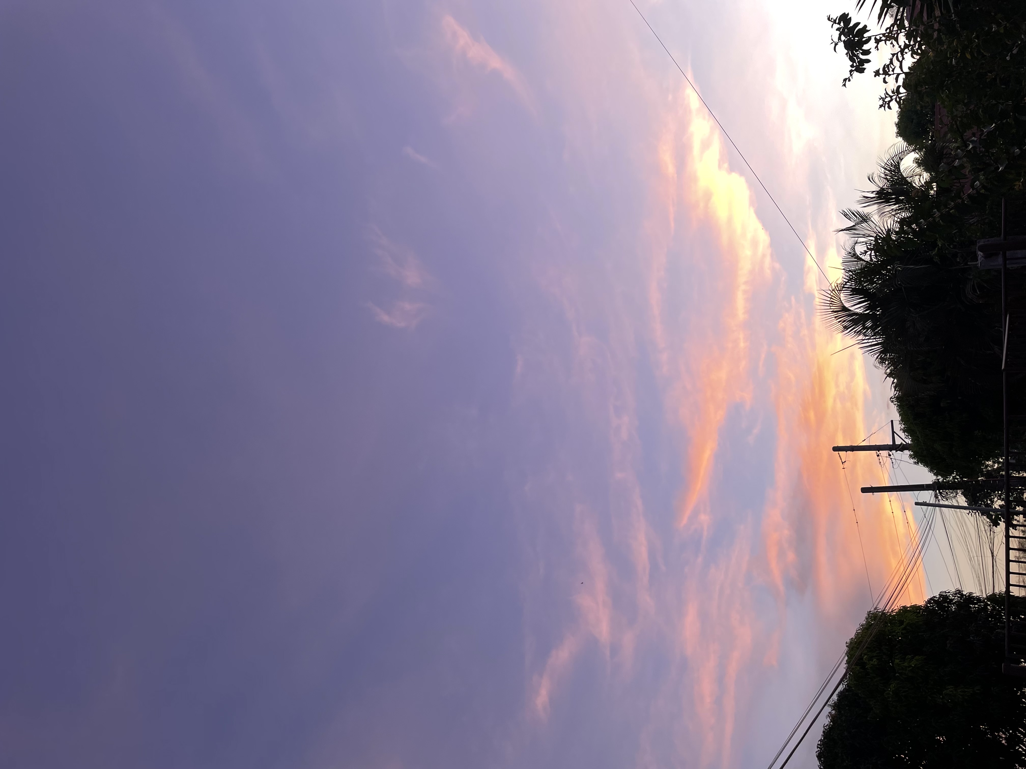 IMG_4184.jpeg