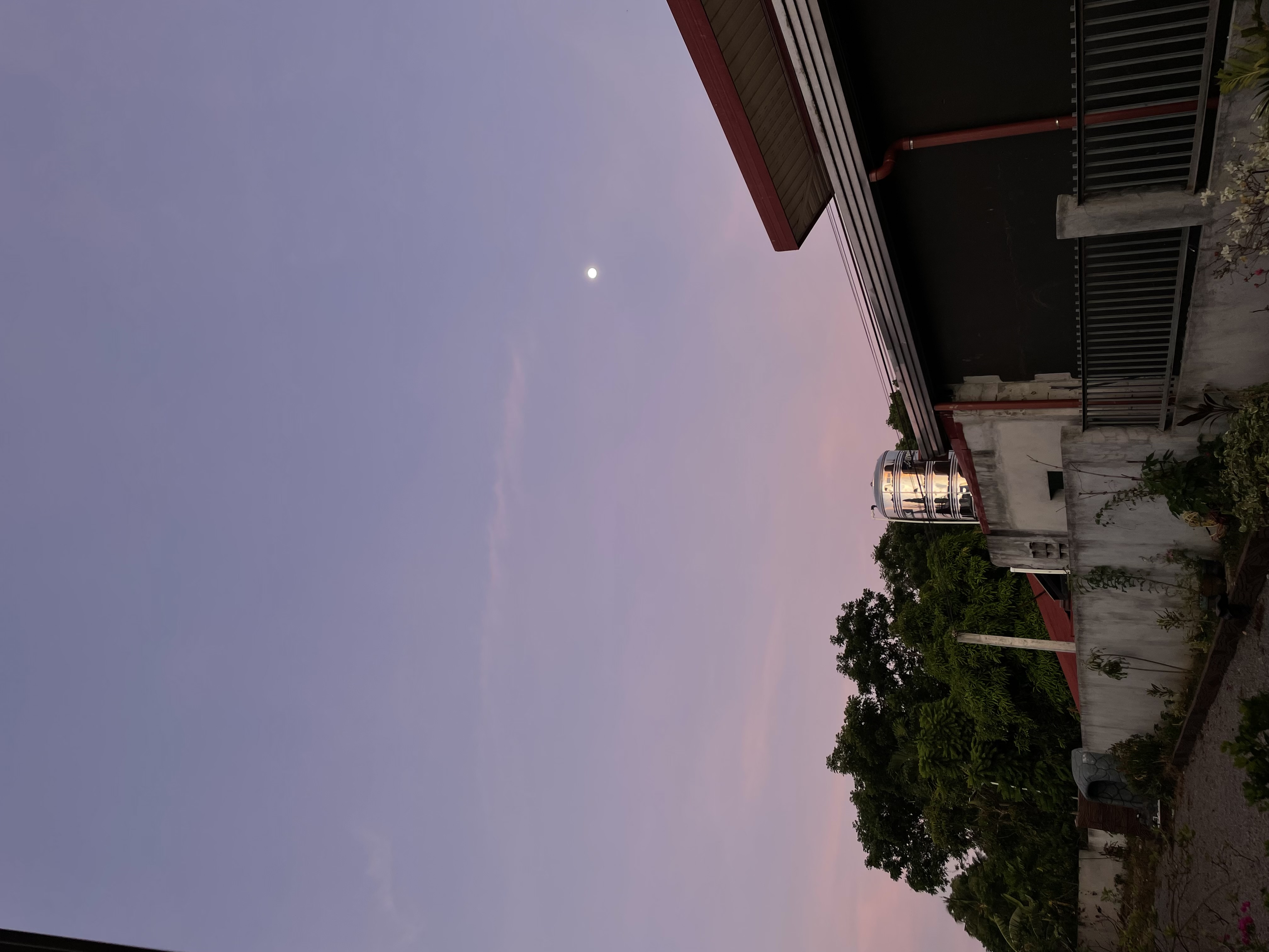 IMG_4177.jpeg