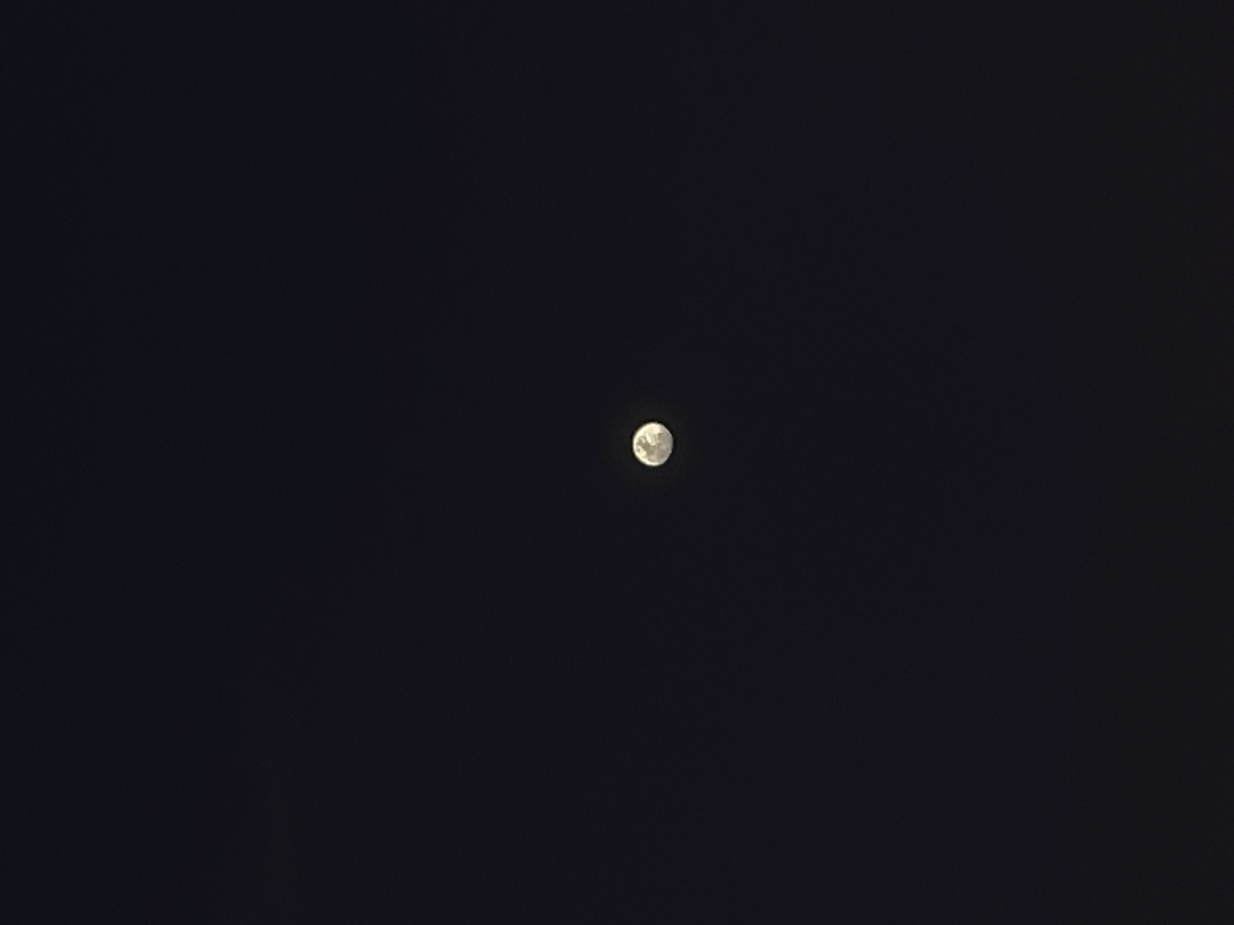 IMG_4178.jpeg