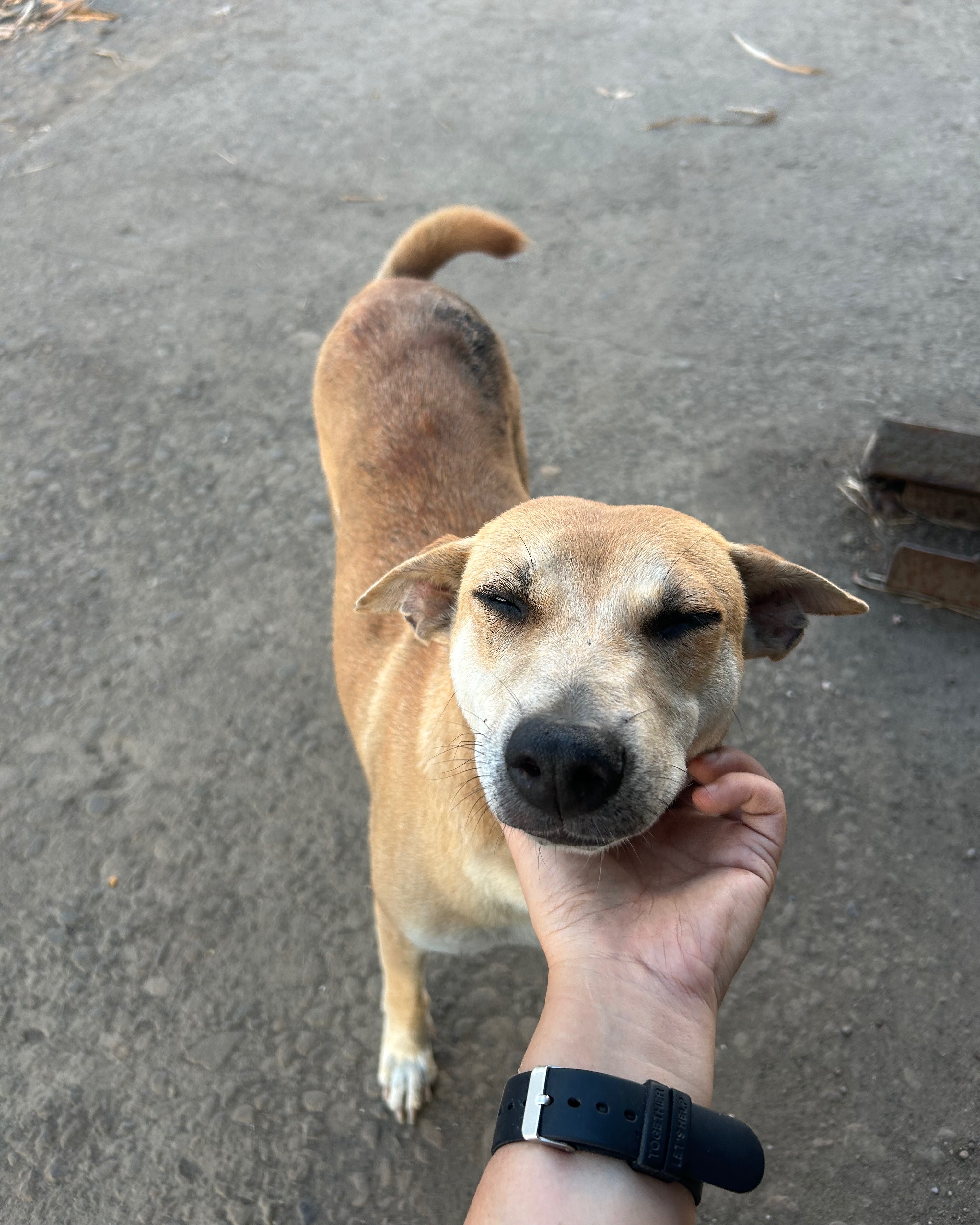 rayover_2026-04-30T16:36:16.143Z