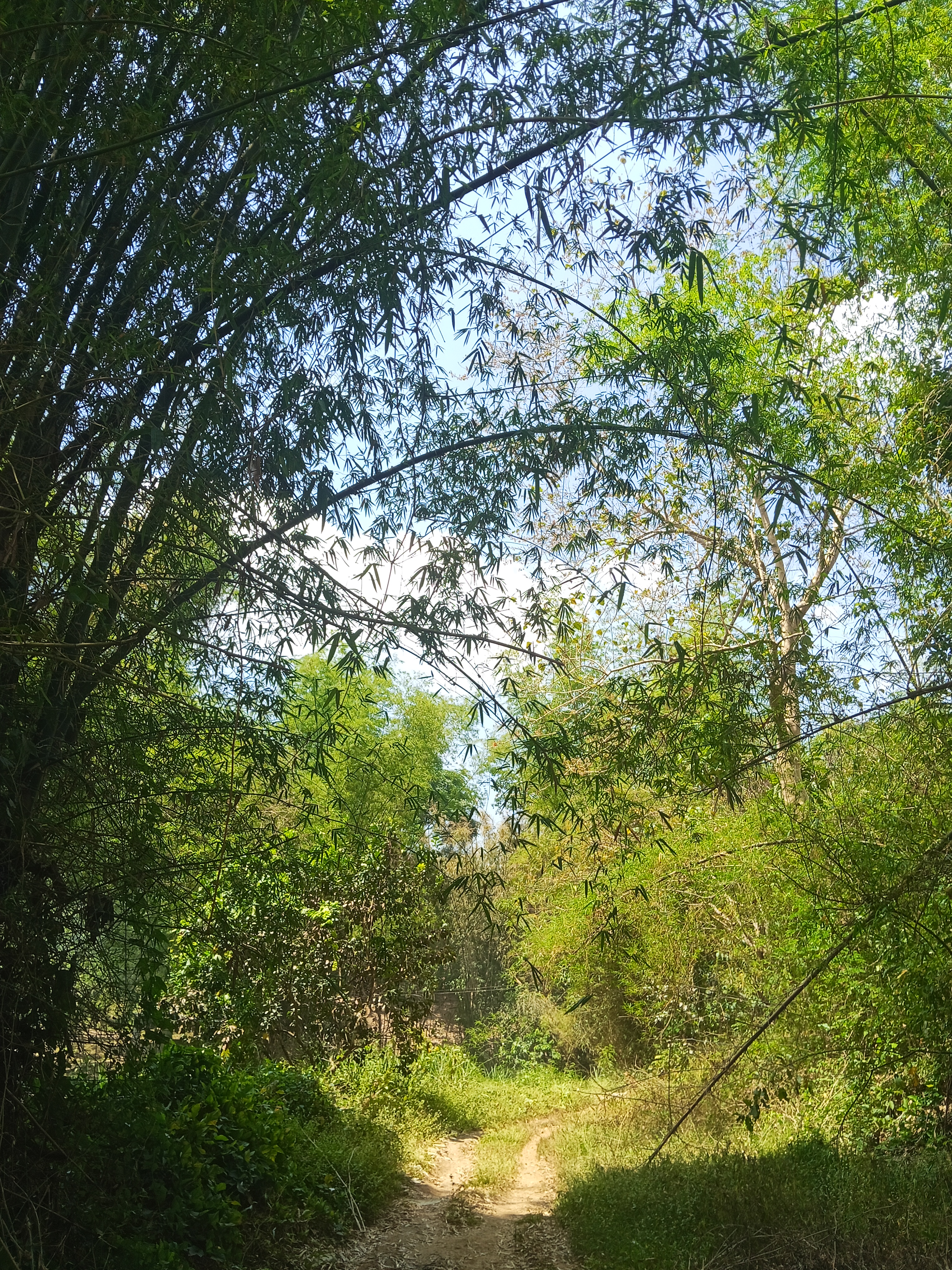 918.jpg