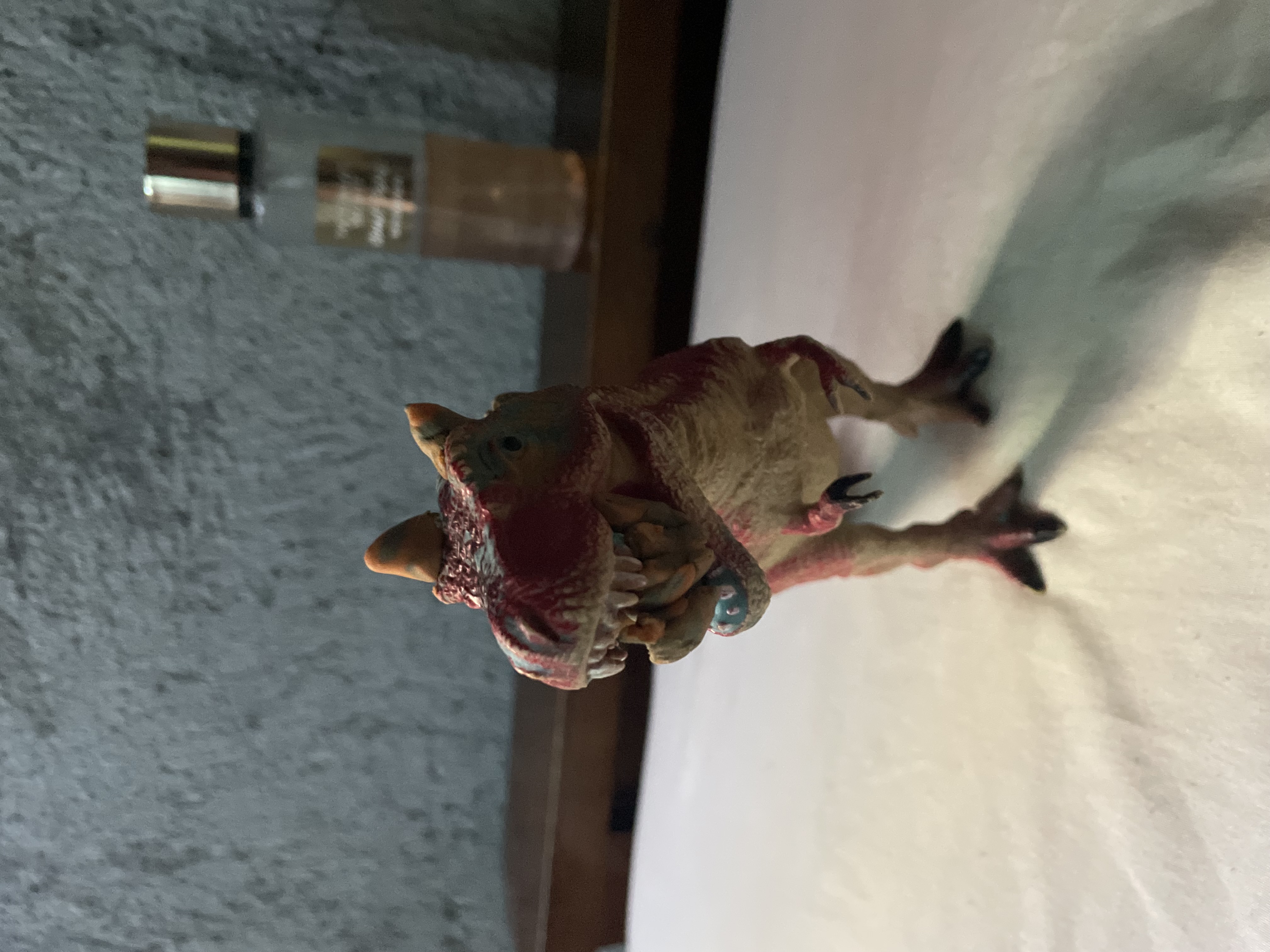 IMG_1336.jpeg
