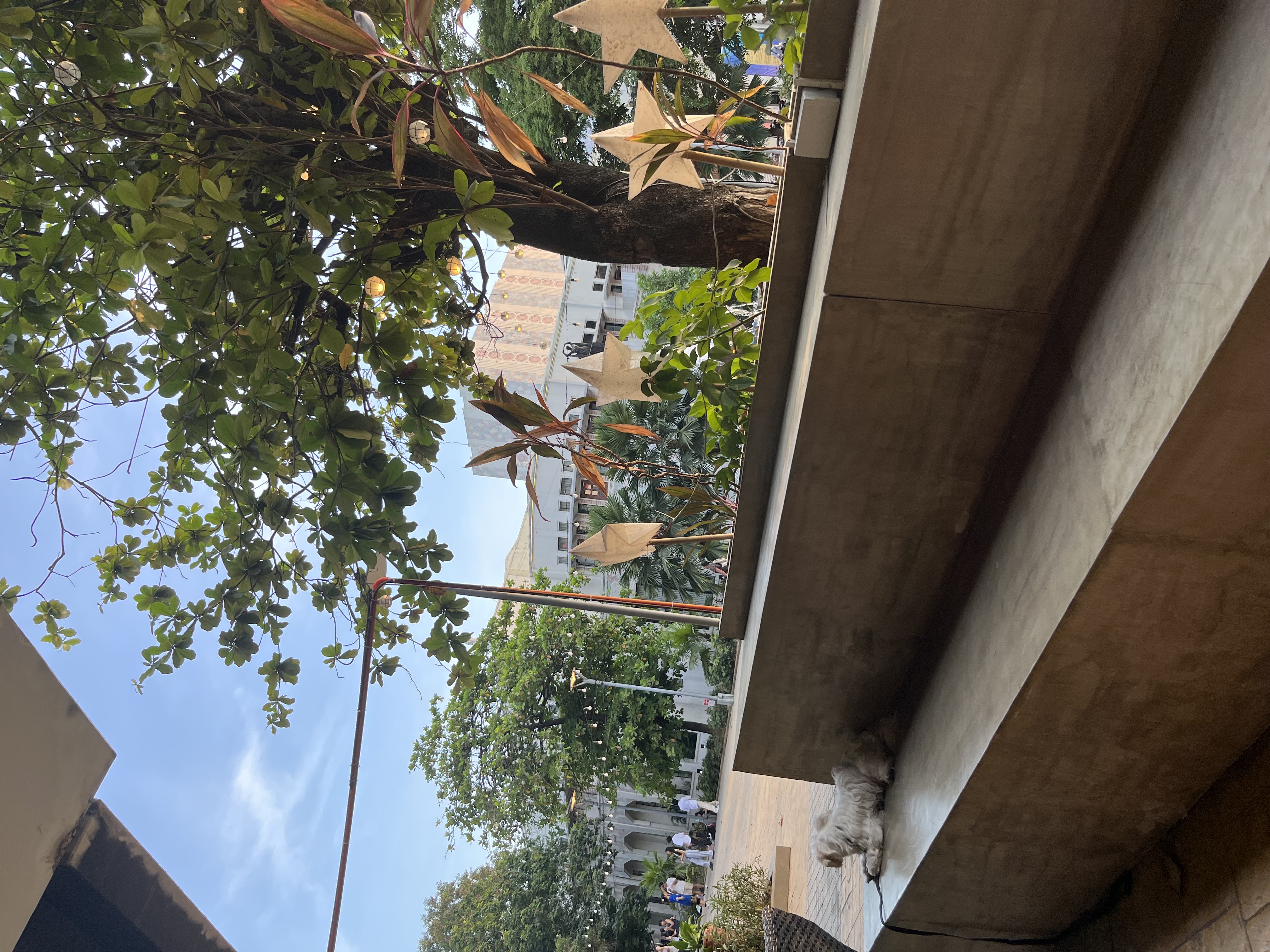 IMG_1180.jpeg