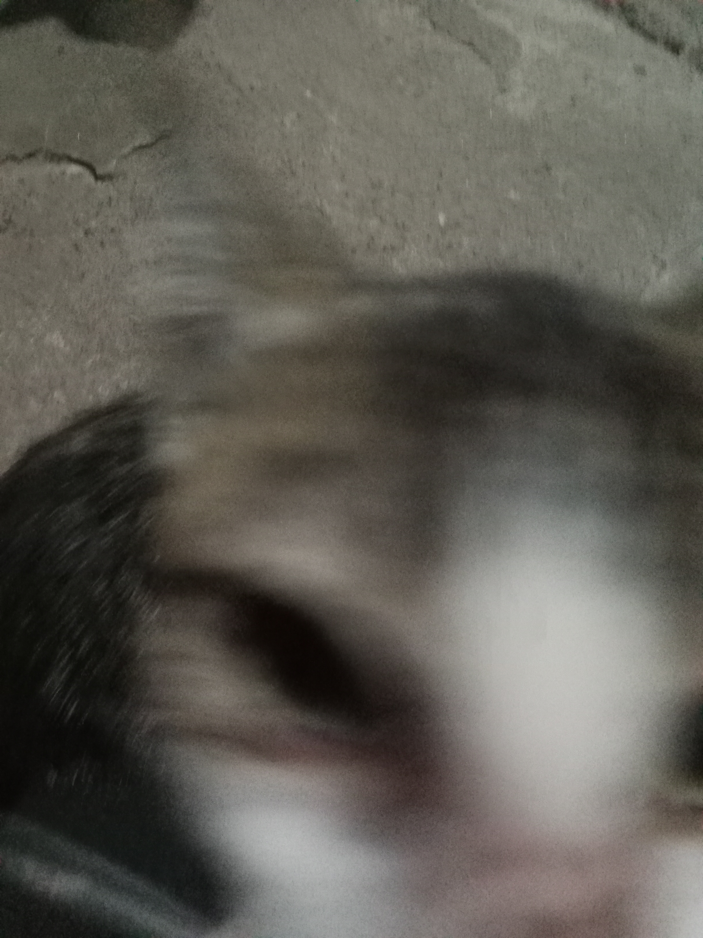 inbound8218720059077494694.jpg