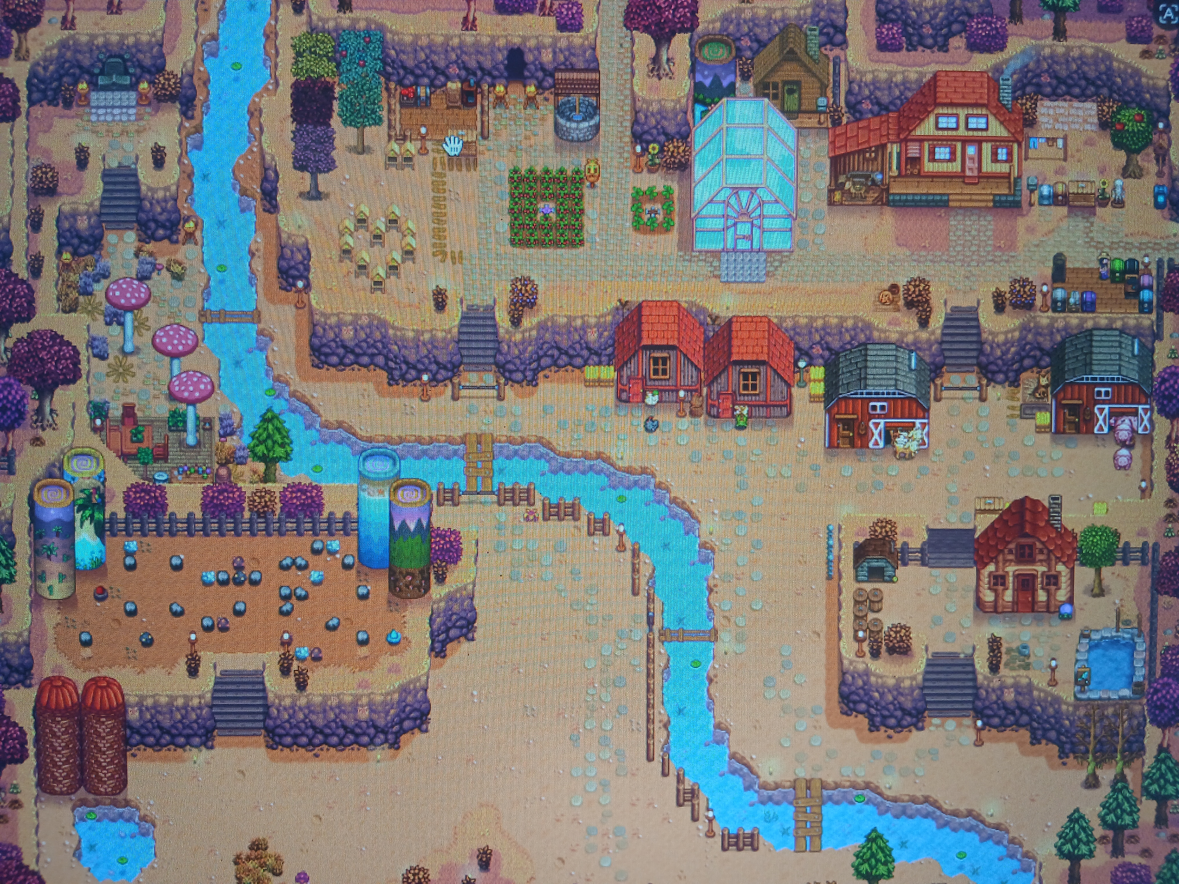 21726.jpg