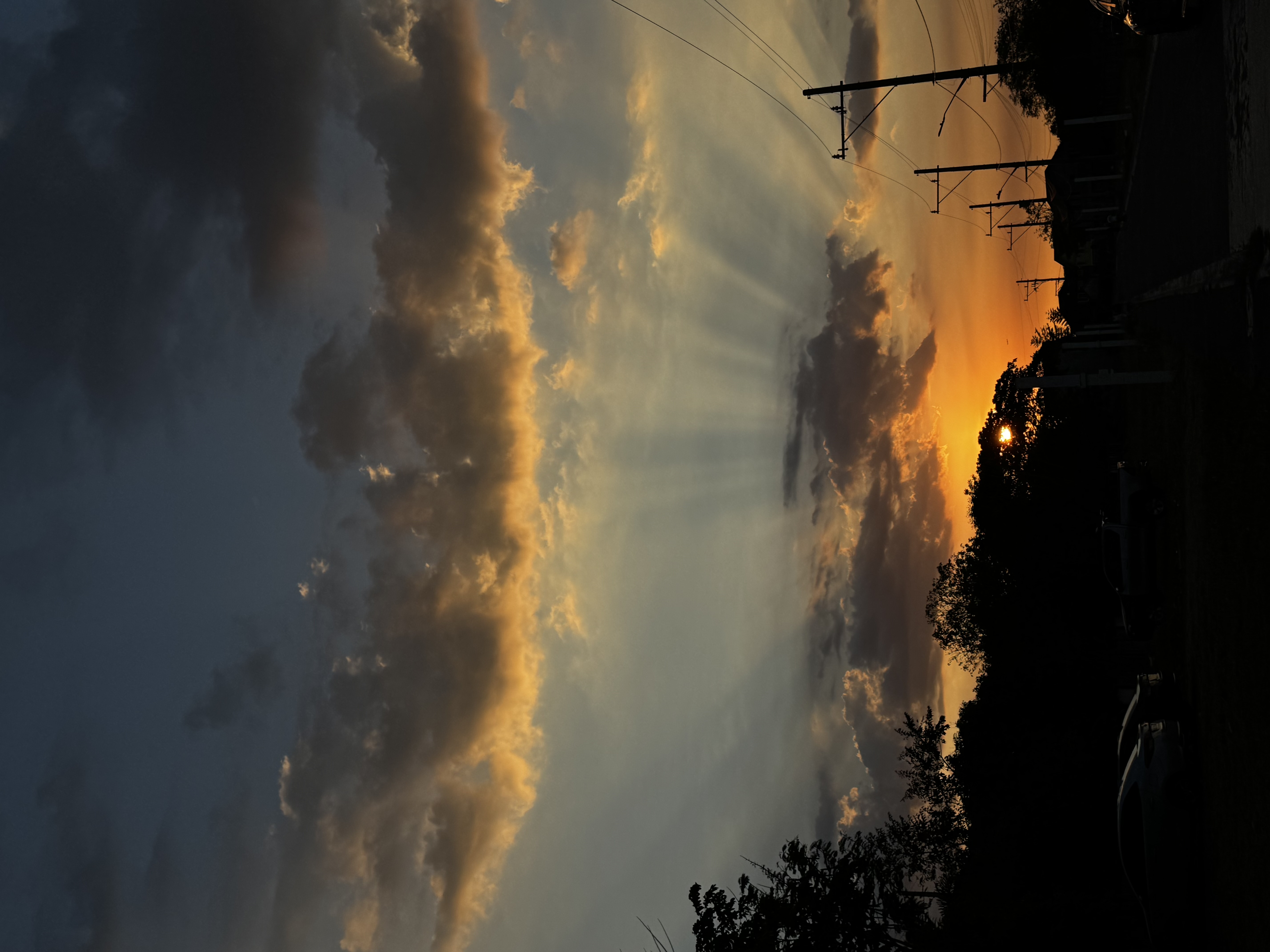 IMG_1105.jpeg