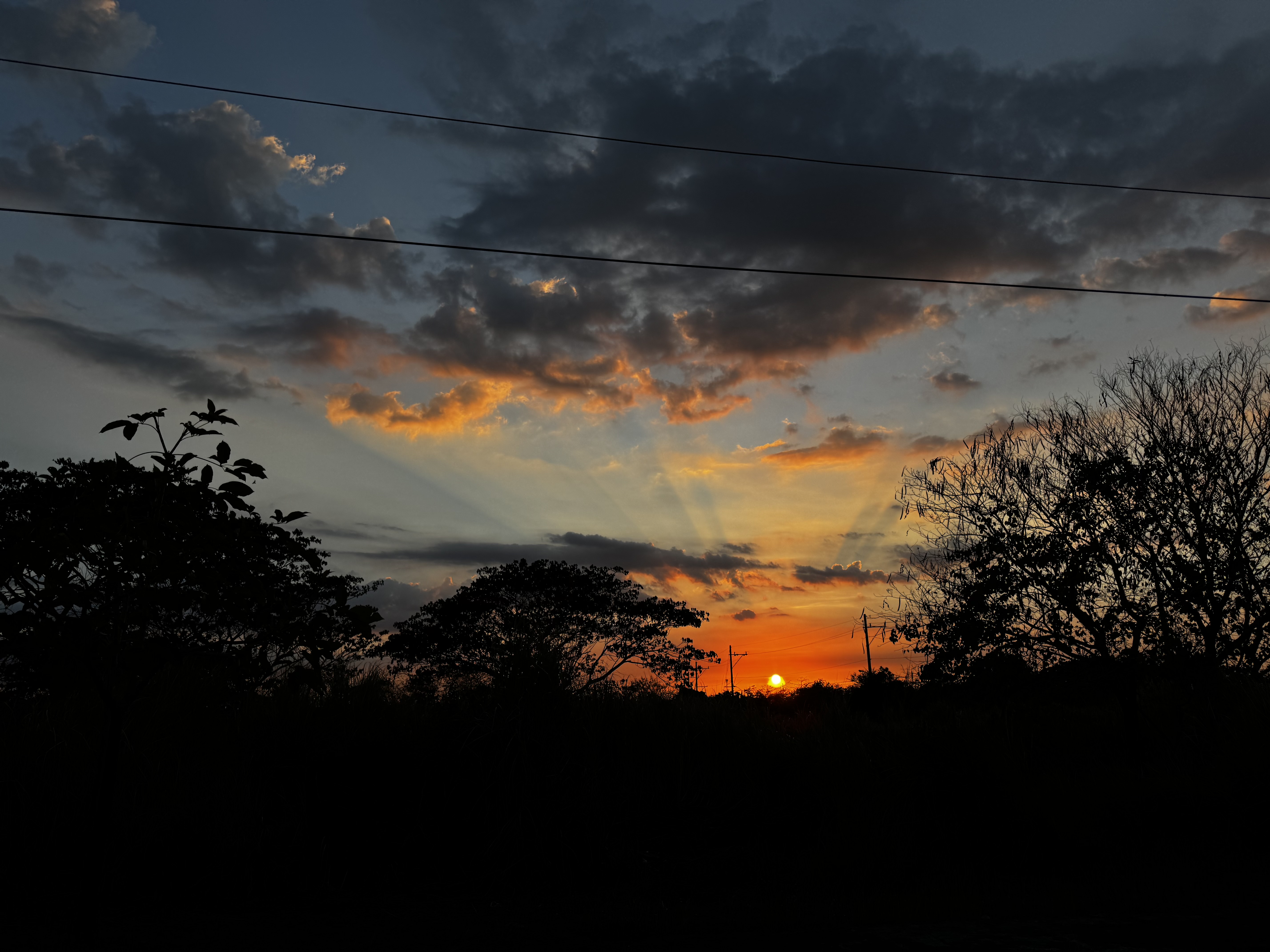 IMG_1110.jpeg