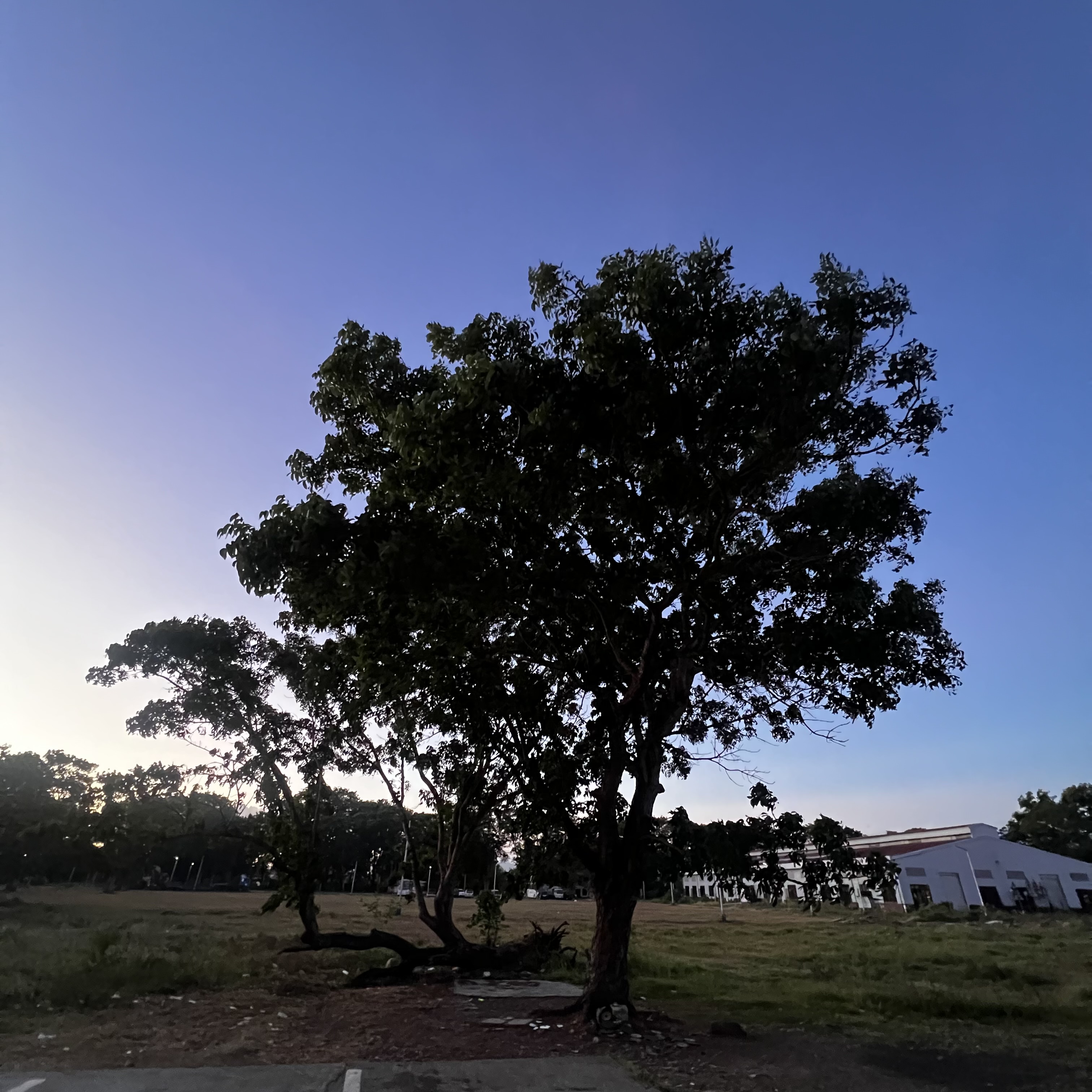 IMG_0821.jpeg