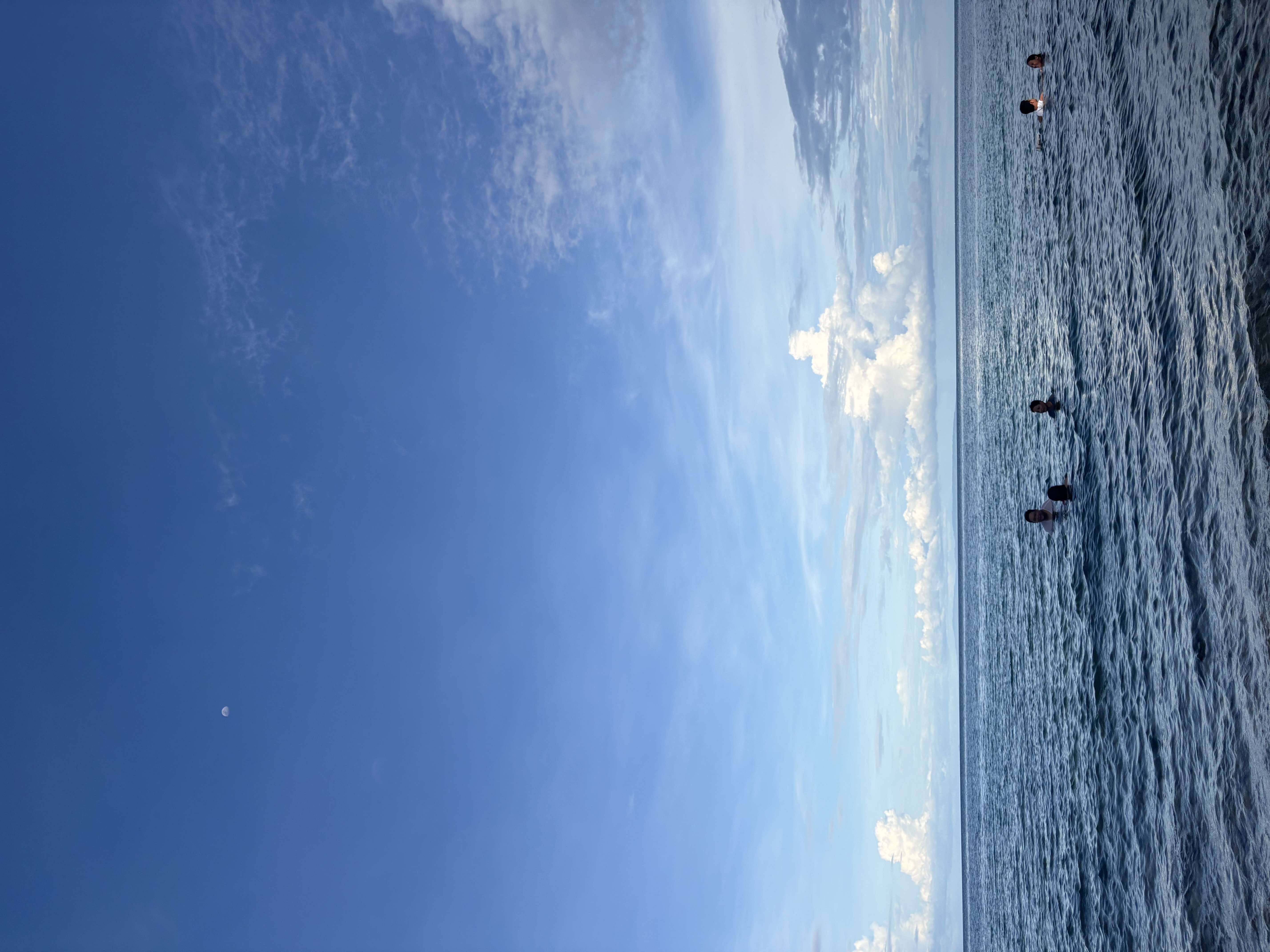 IMG_7971.jpeg