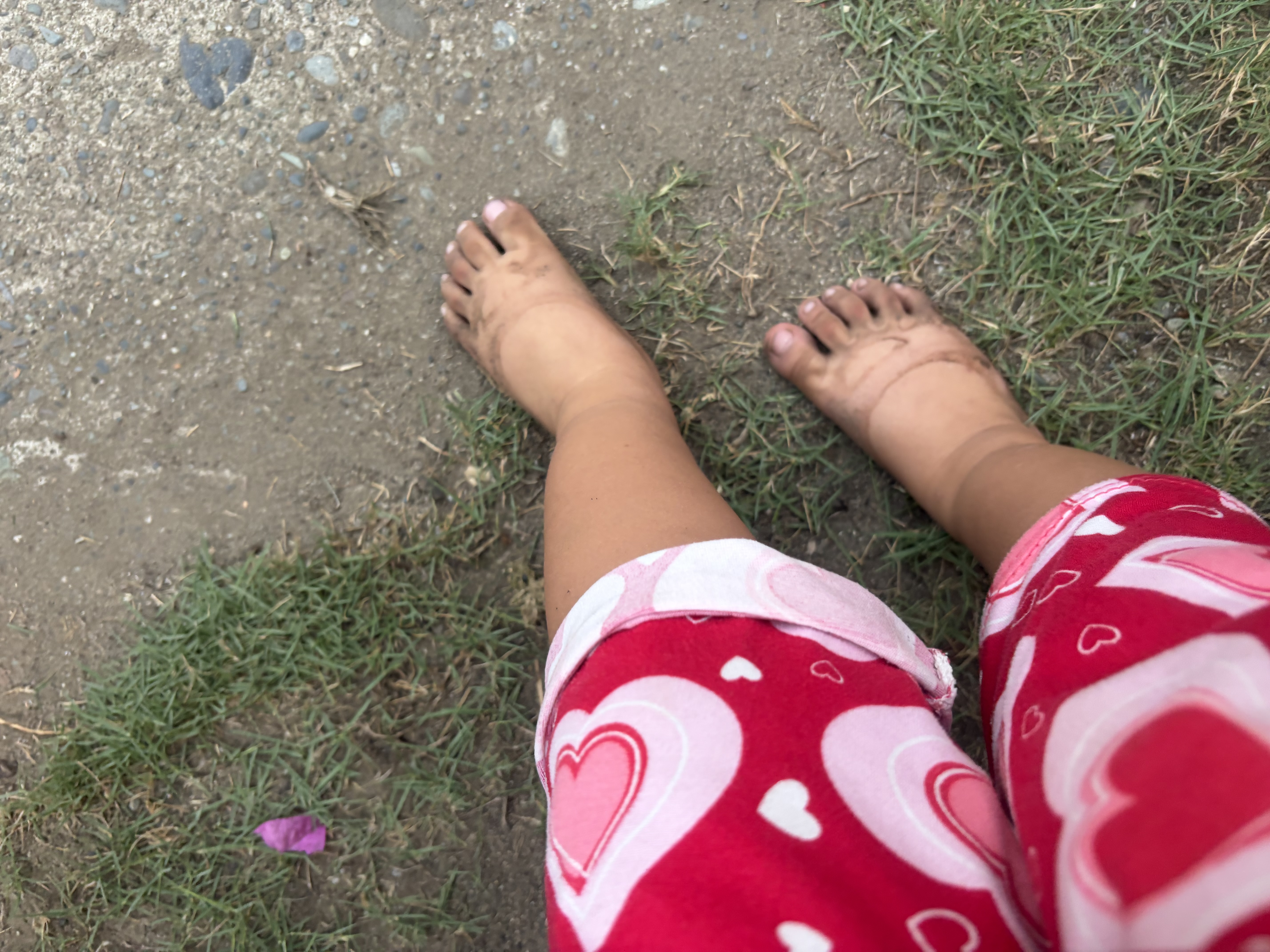 IMG_1288.jpeg