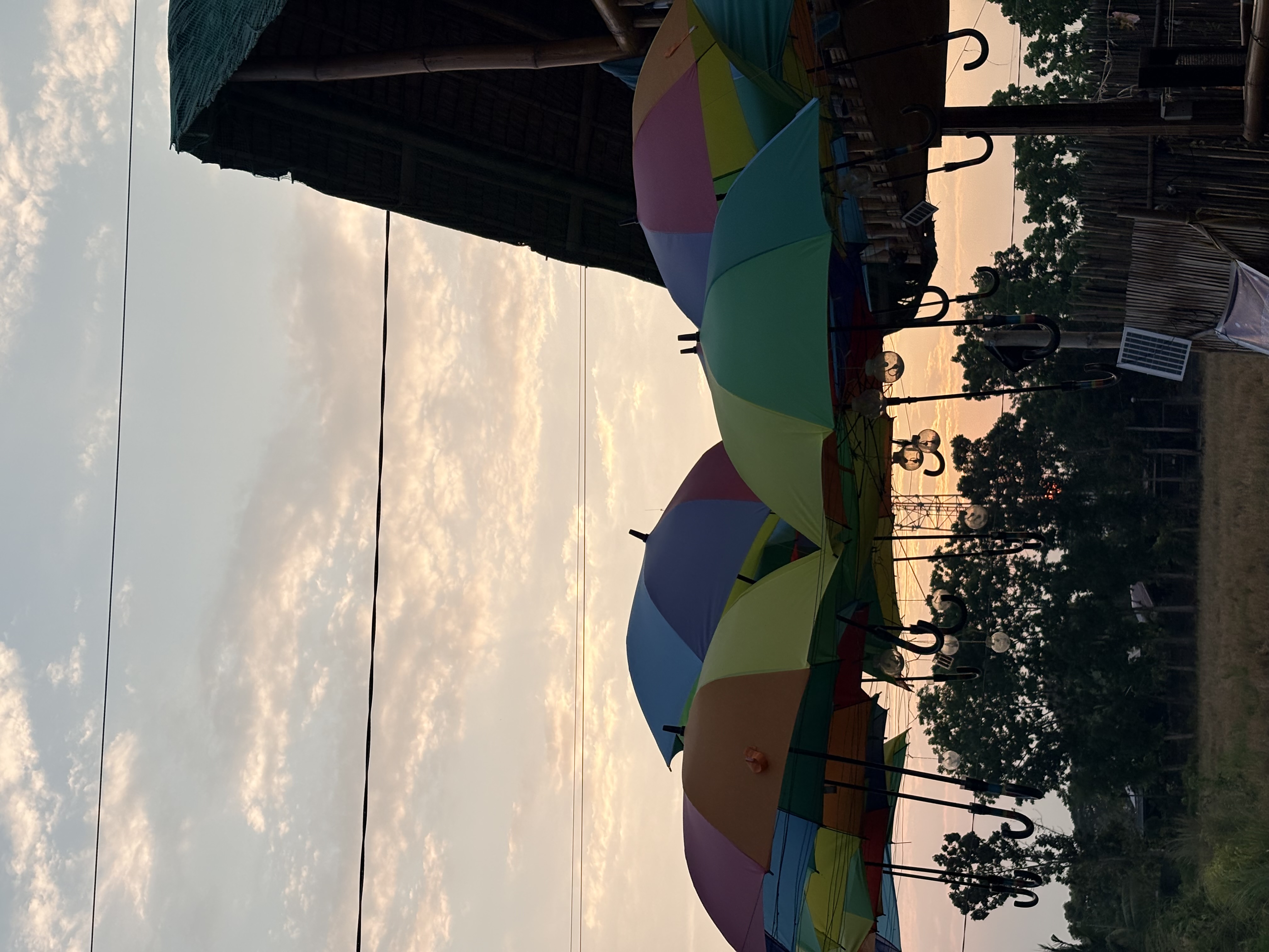 IMG_2867.jpeg