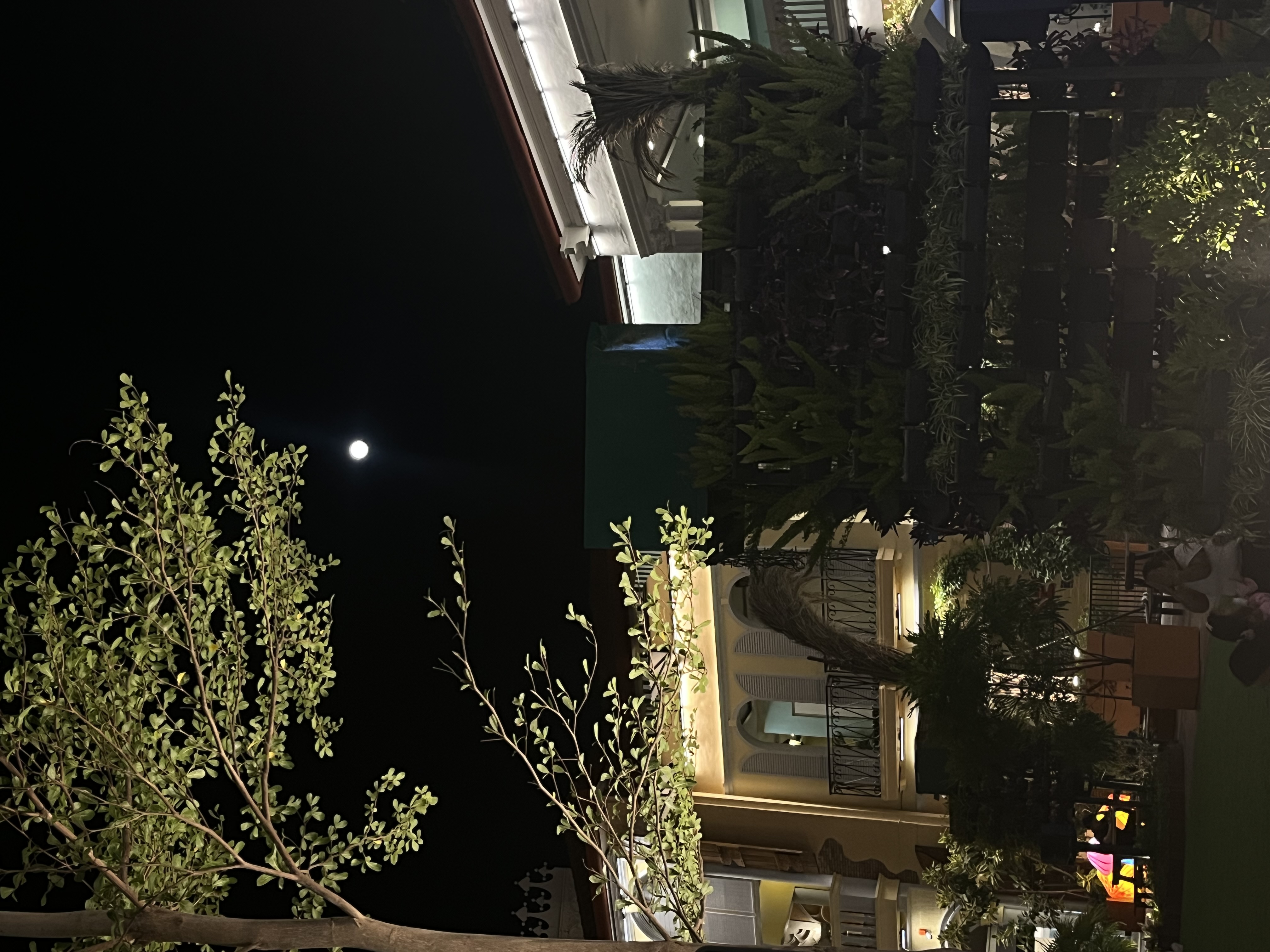 IMG_5382.jpeg