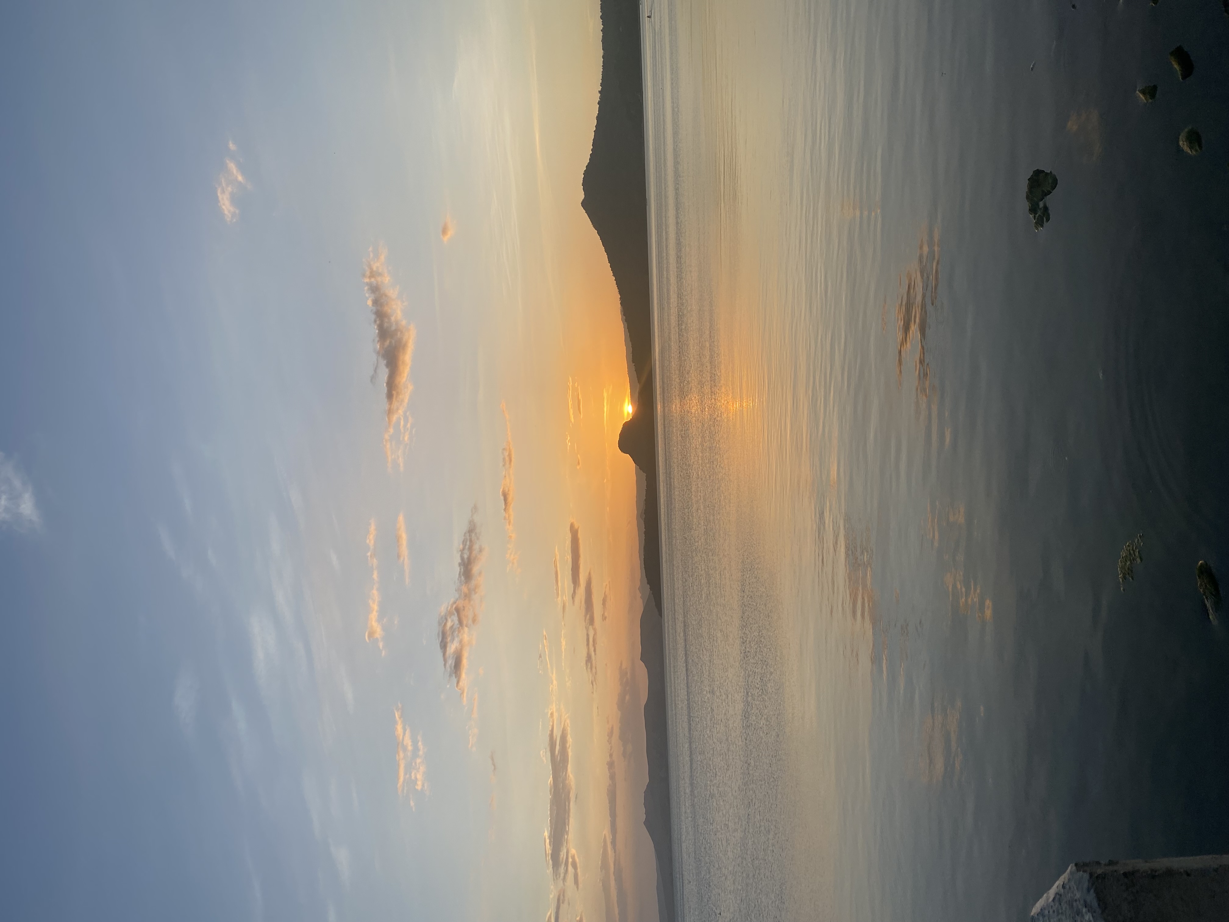 IMG_8771.jpeg