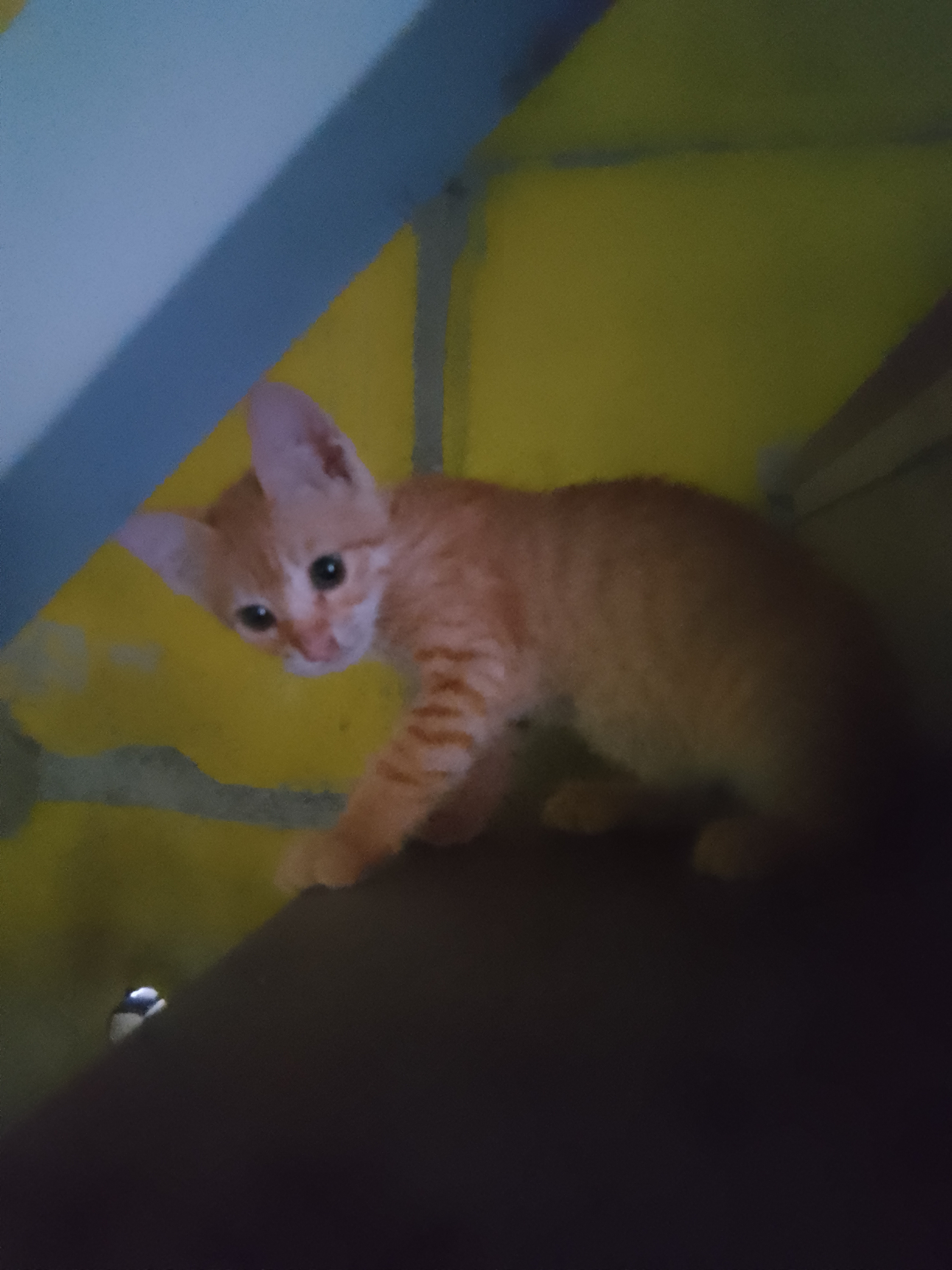 1000913340.jpg