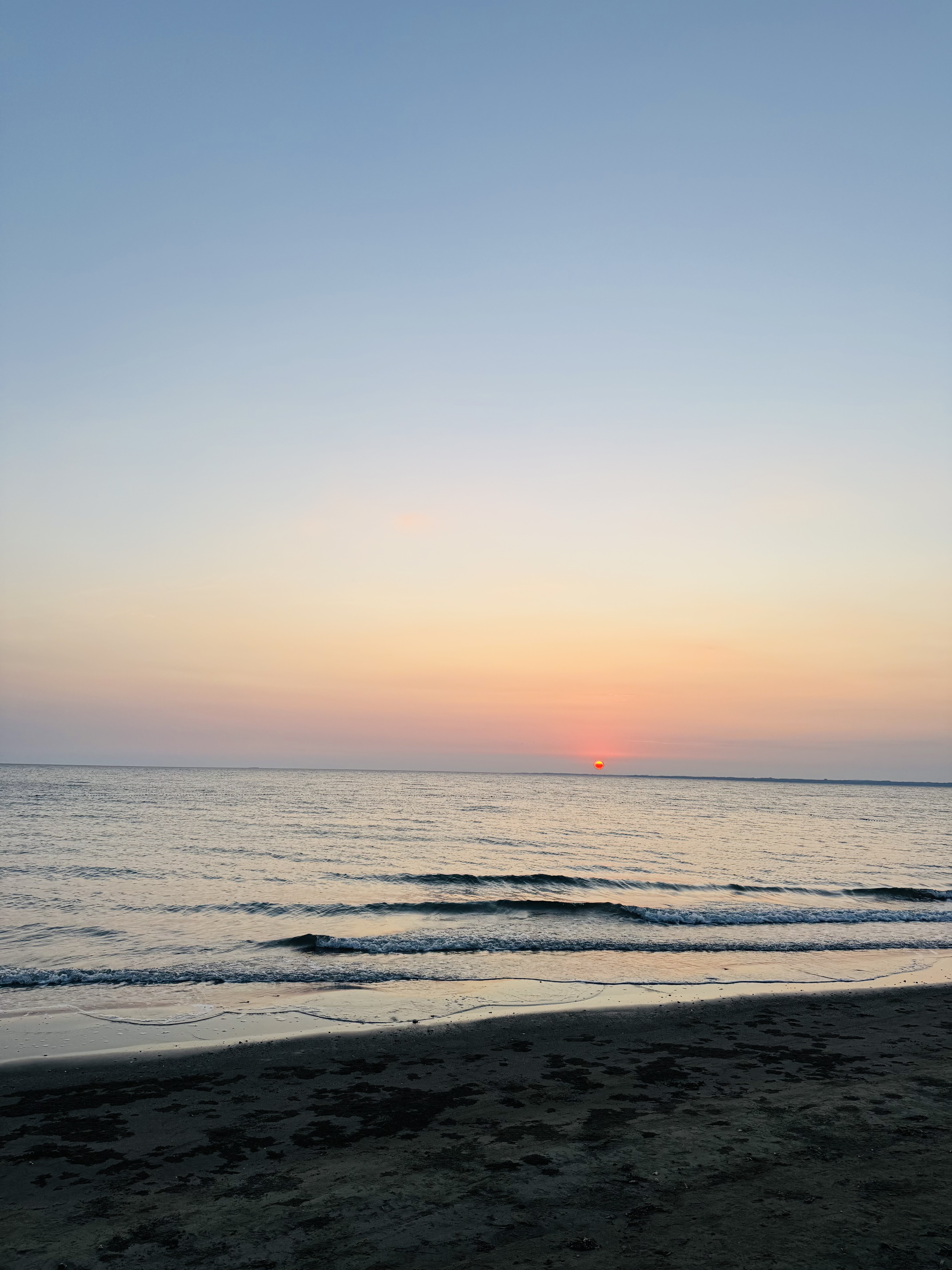 IMG_4316.jpeg