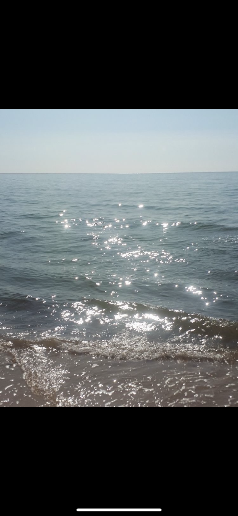 IMG_0145.png