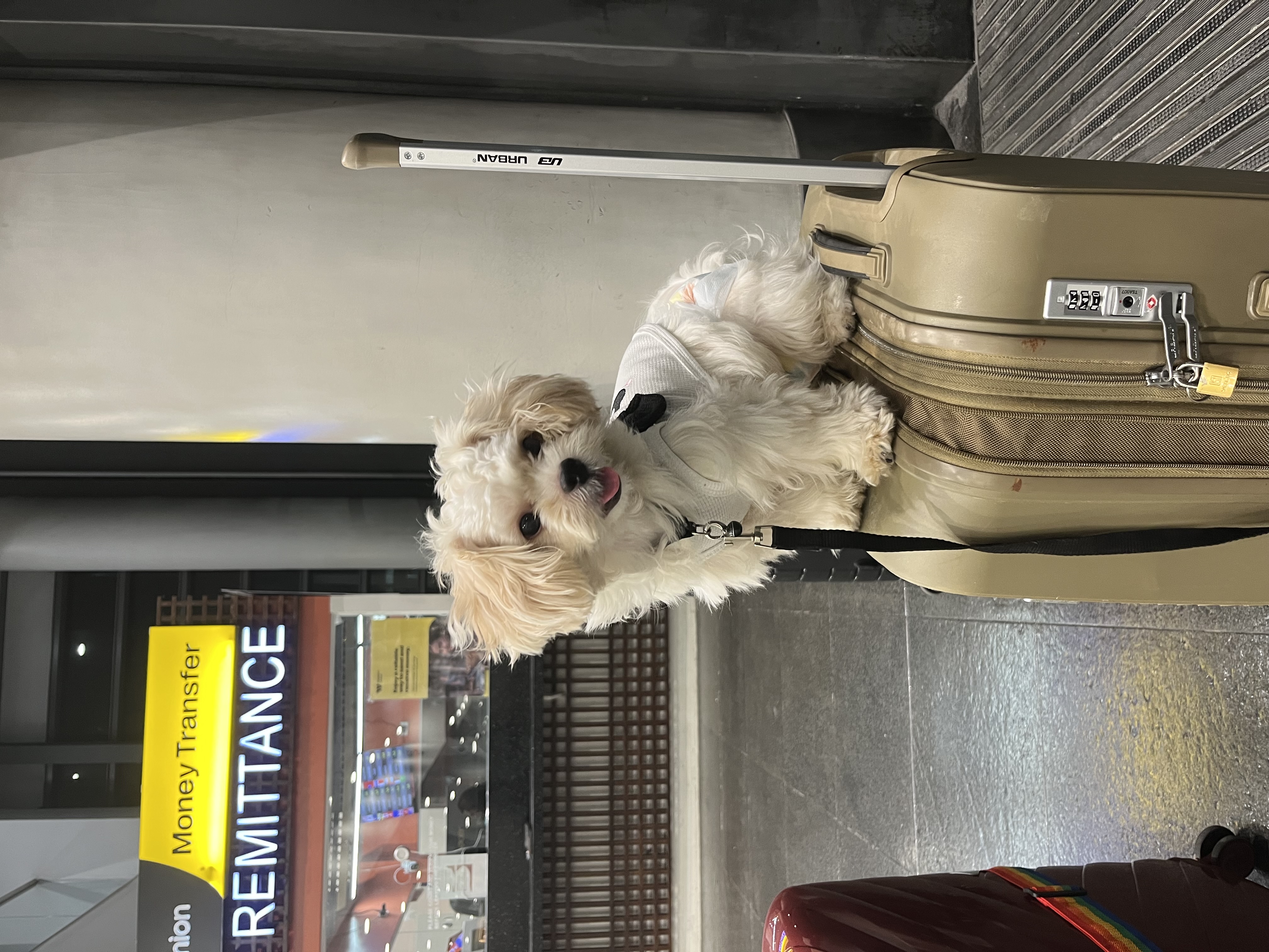 IMG_1546.jpeg