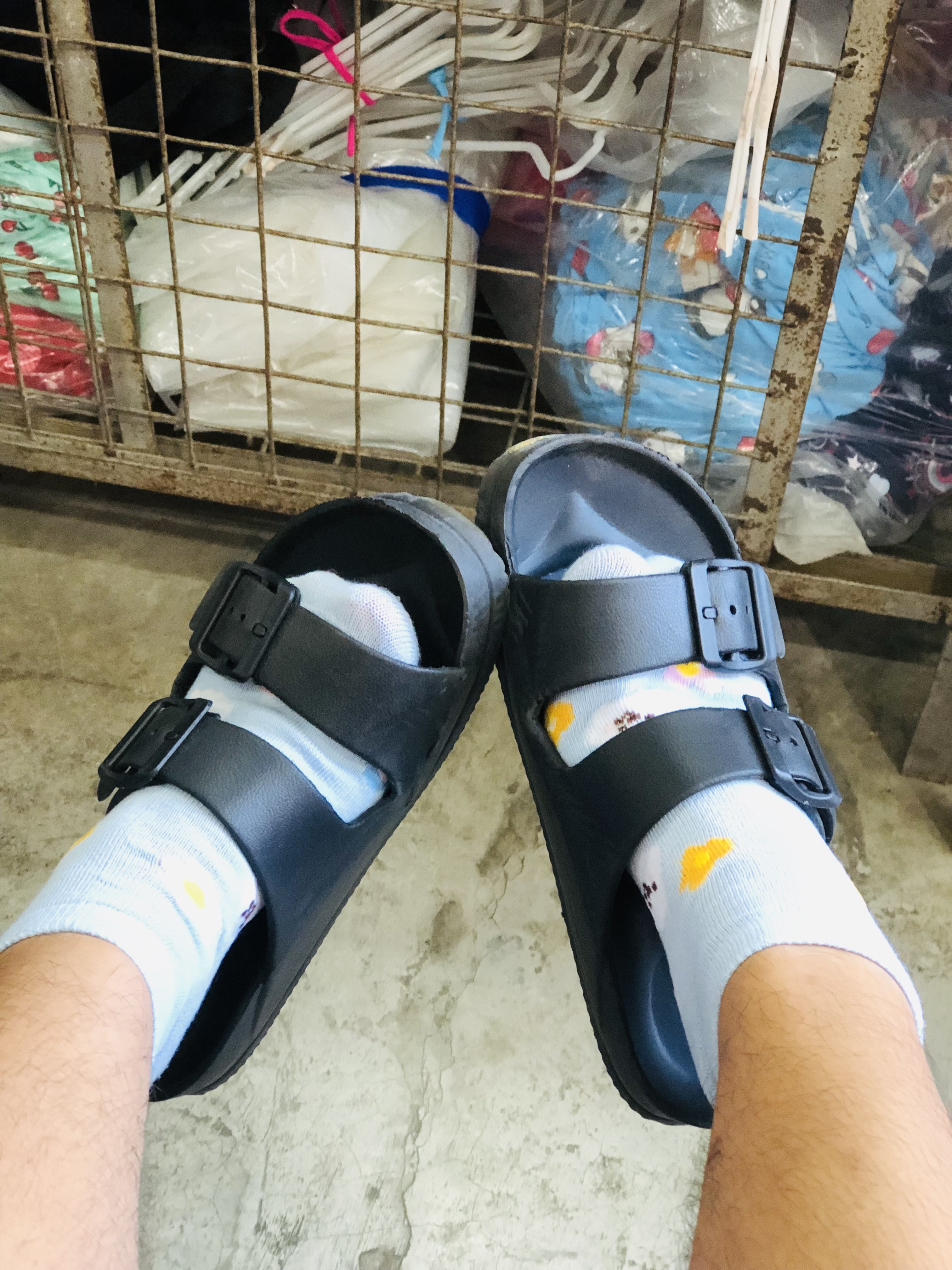 IMG_8264.jpeg