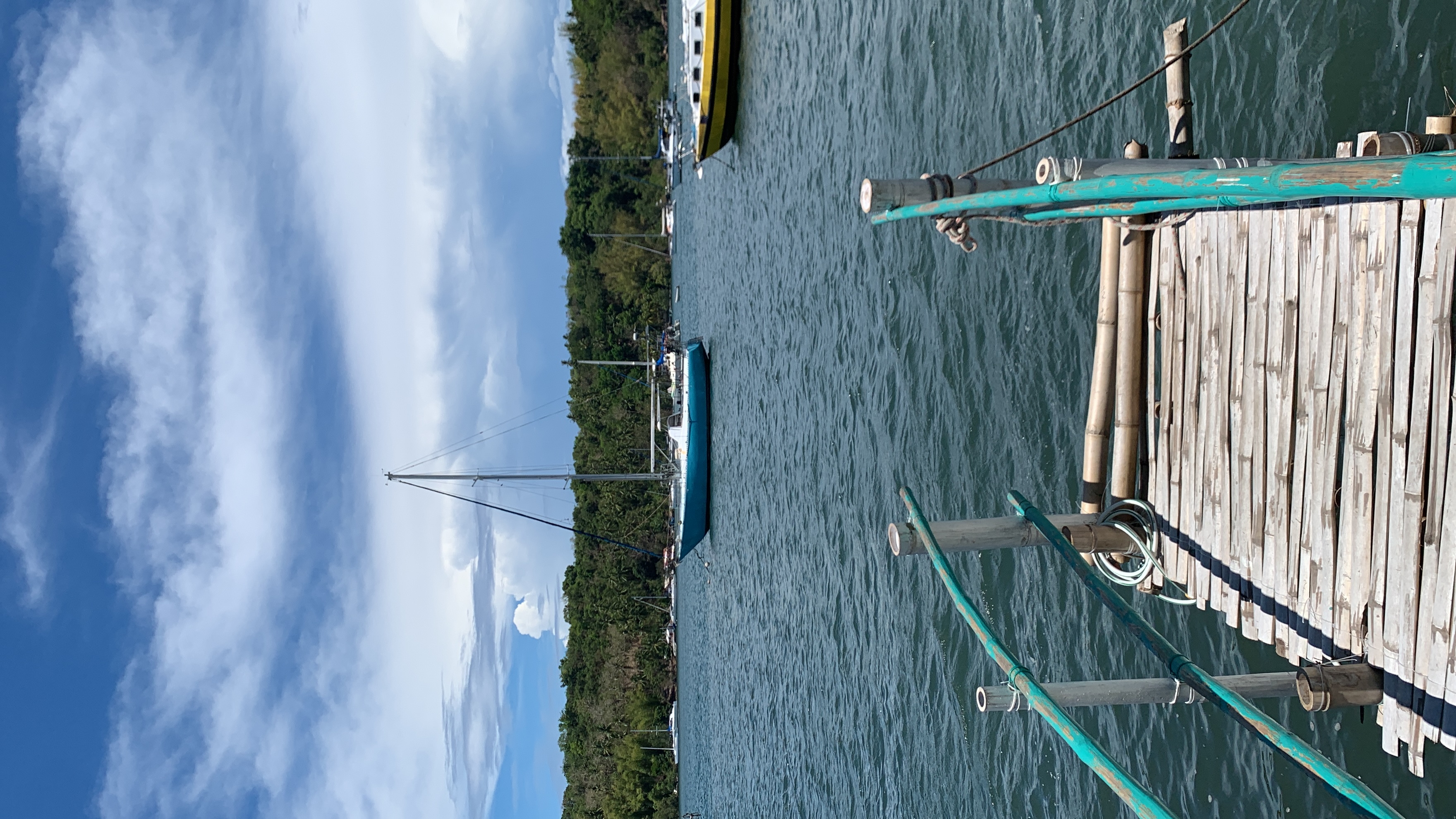 IMG_7134.jpeg